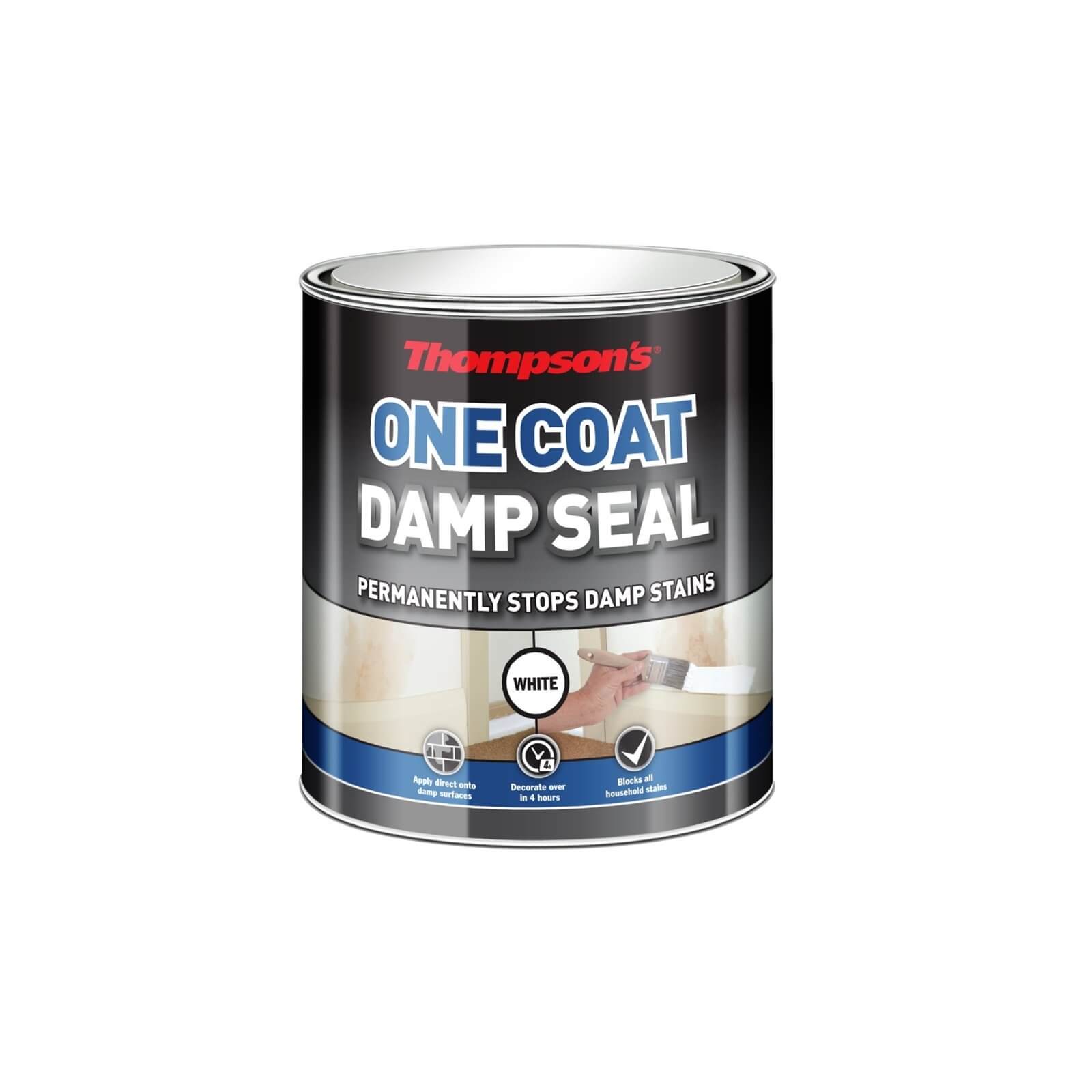 Thompsons White One Coat Damp Seal - 250ml