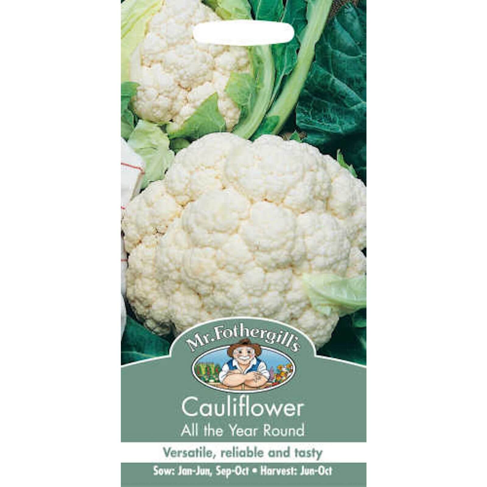 Mr. Fothergill's Cauliflower All The Year Round (Brassica Oleracea Botrytis) Seeds