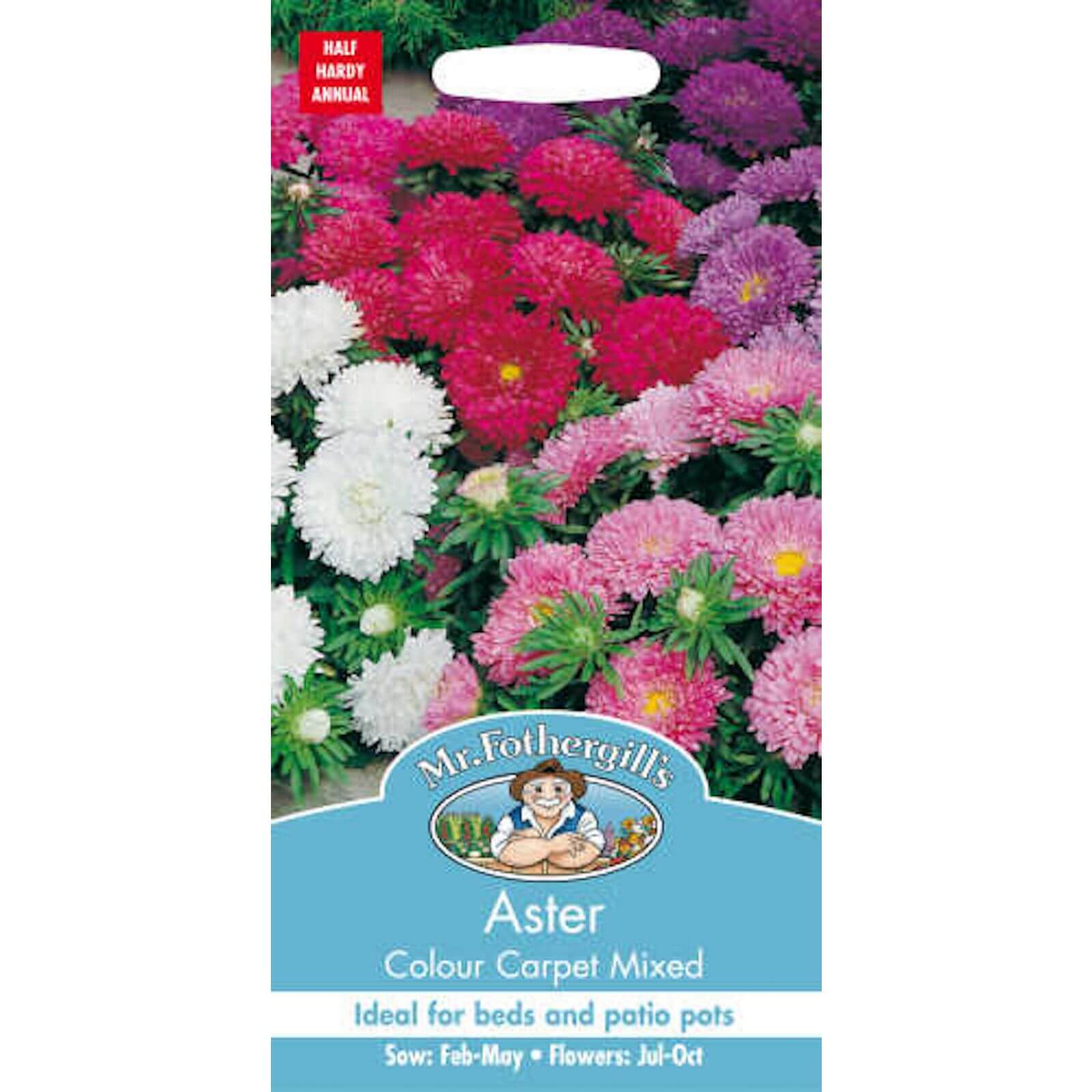 Mr. Fothergill's Aster Colour Carpet Mixed Seeds