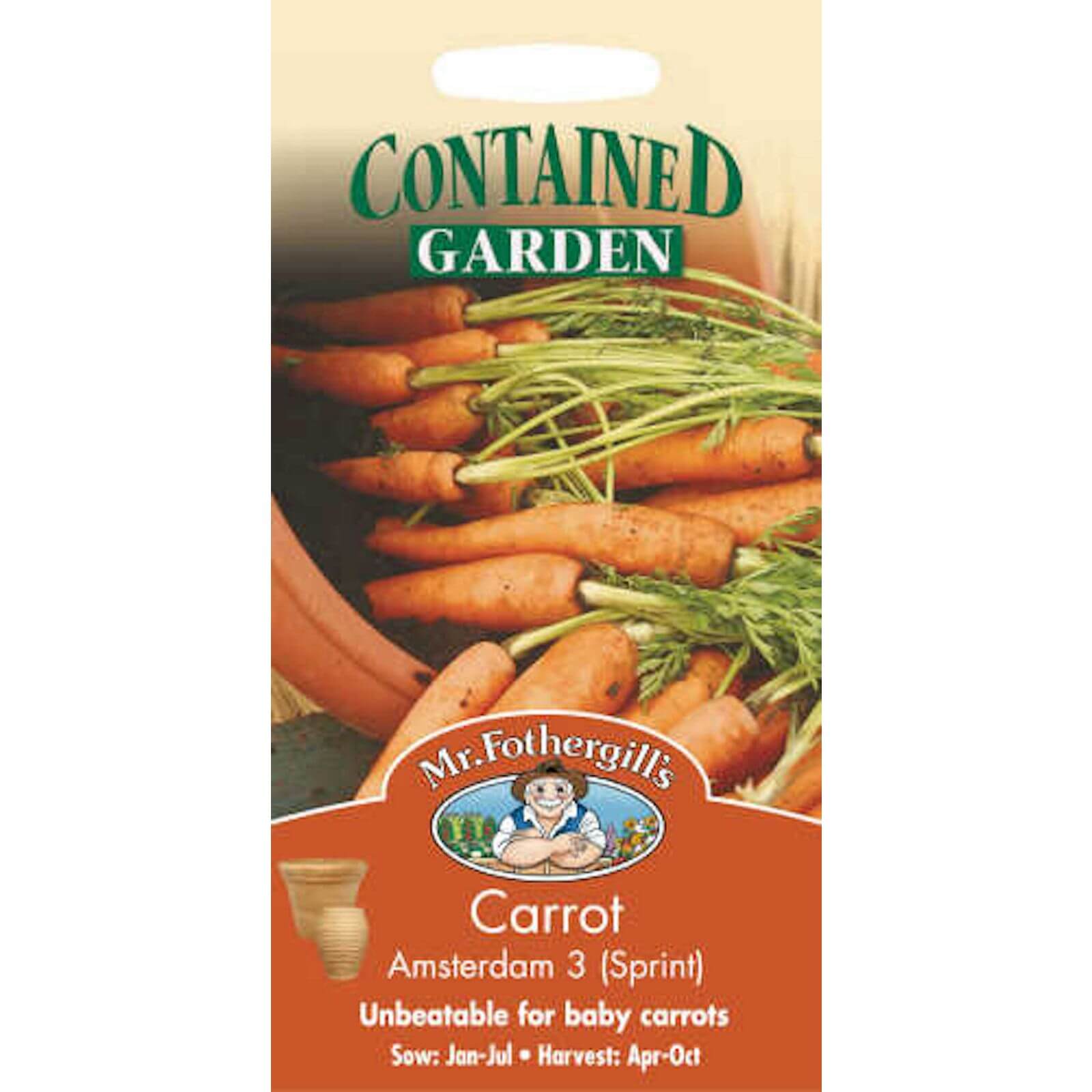 Mr. Fothergill's Carrot Amsterdam 3 Sprint (Daucus Carota) Seeds