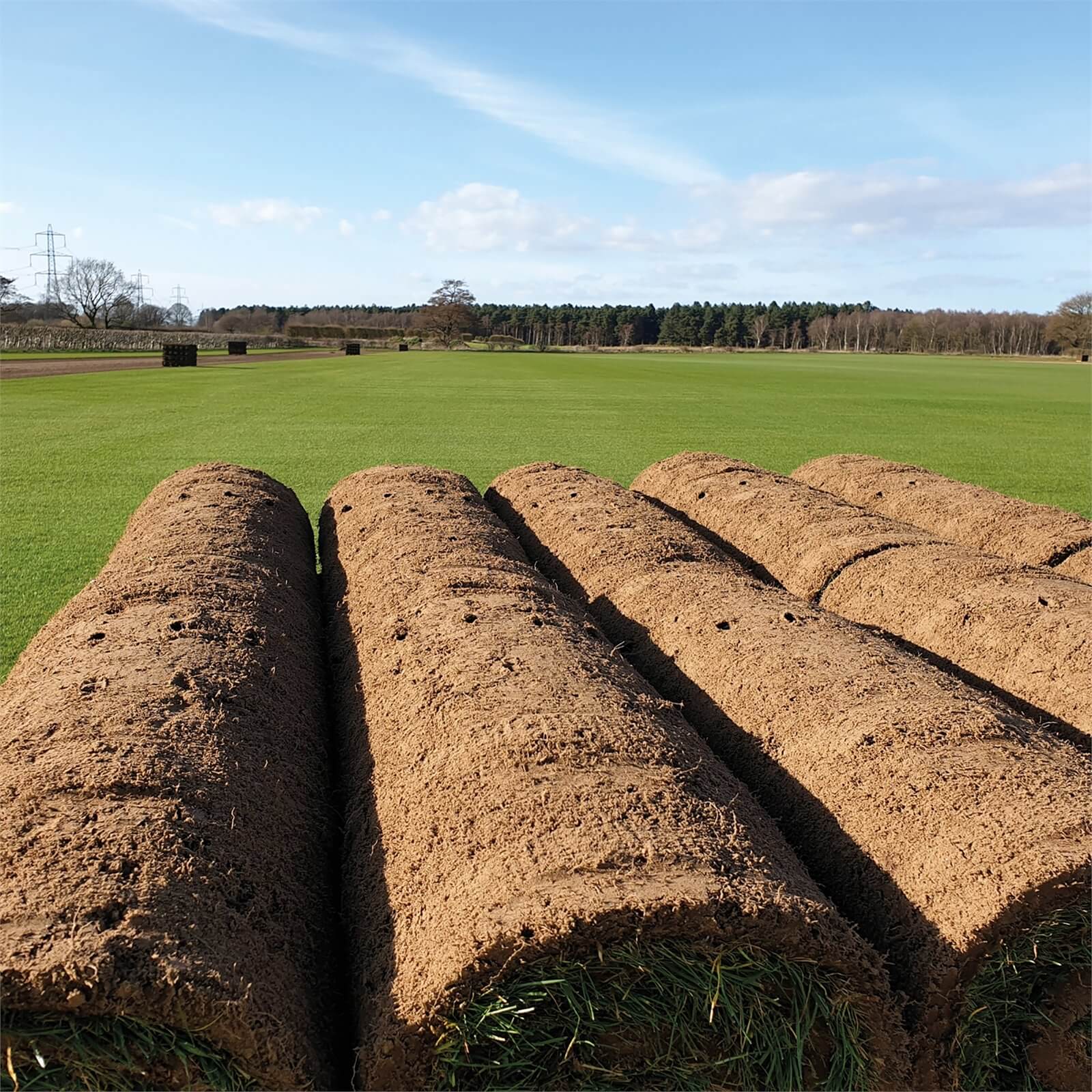 Turf Rolls Grass & Lawn Garden Turfs for Sale Homebase