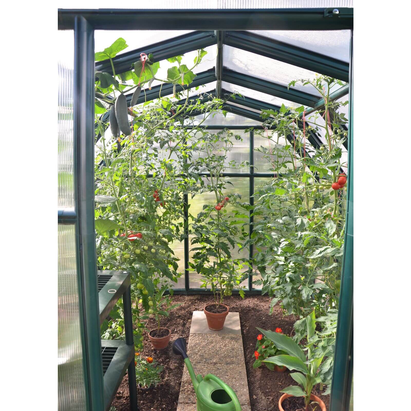 Palram - Canopia Eco Grow Greenhouse 6X12 Green