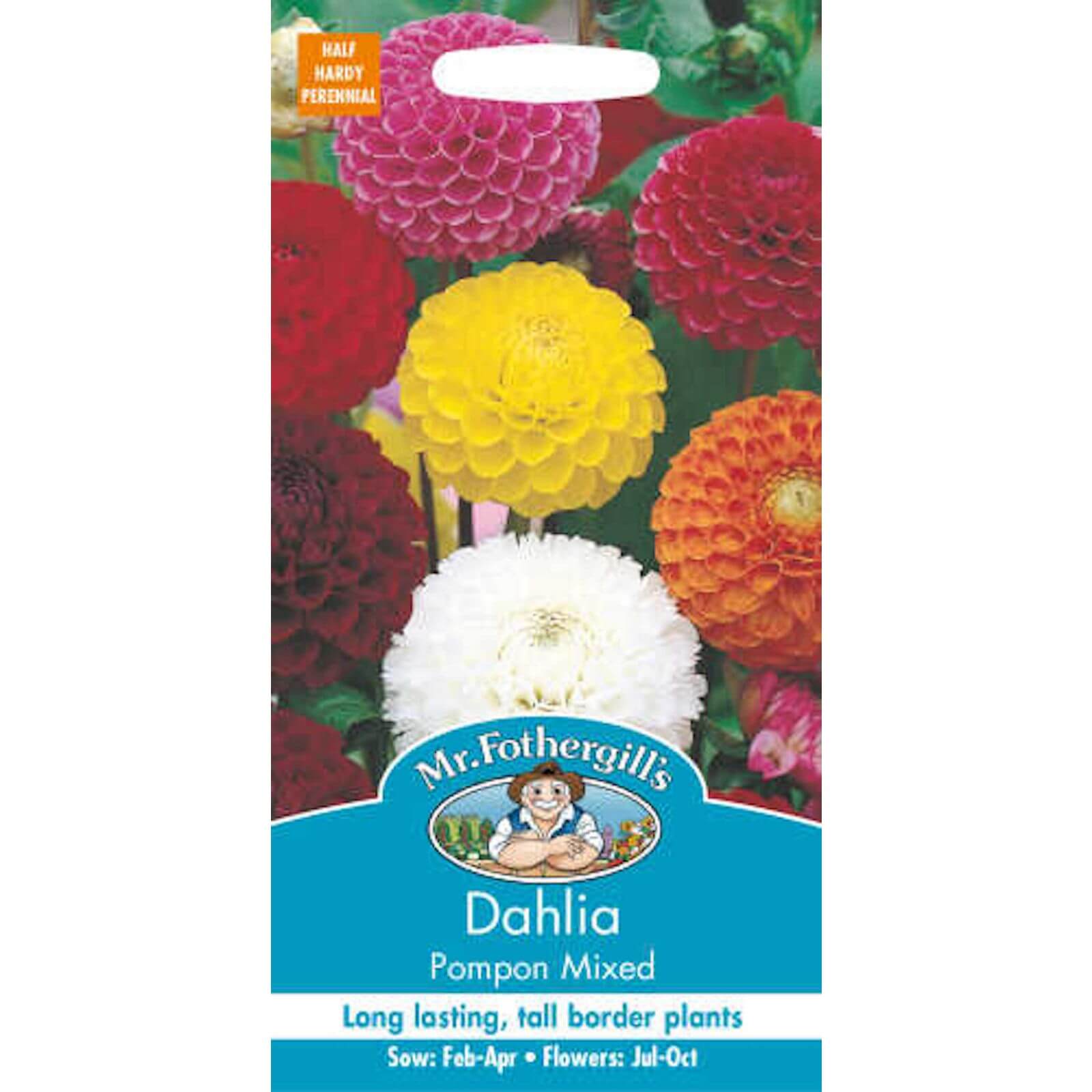 Mr. Fothergill's Dahlia Pompon Mixed (Dahlia X Hortensis) Seeds