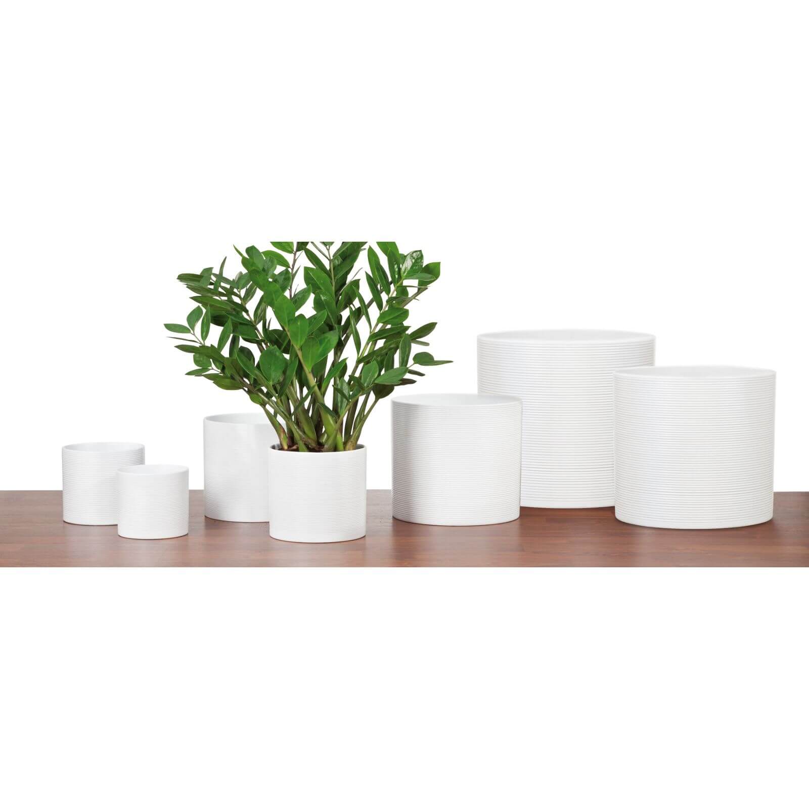 White Plant Pot - 16cm