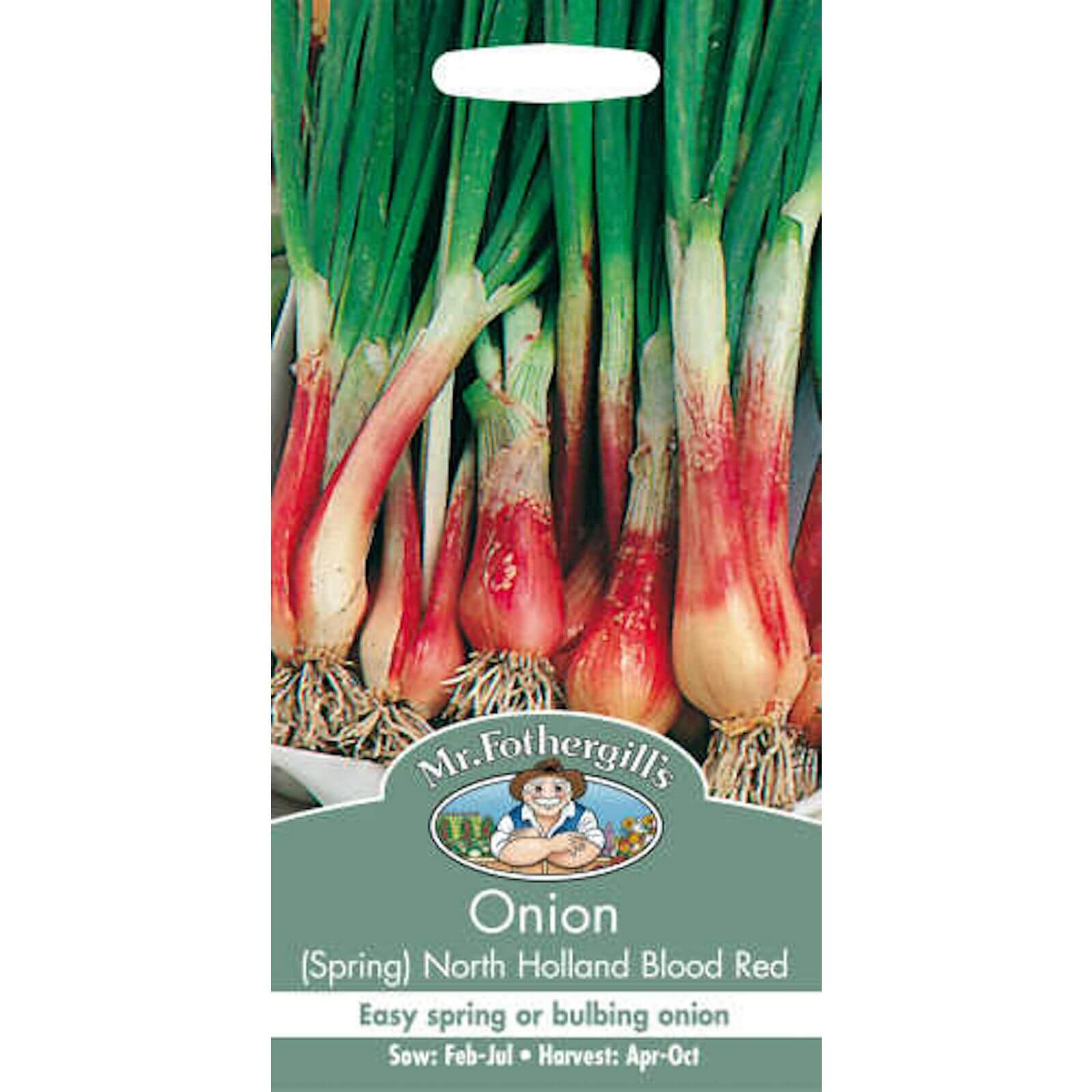 Mr. Fothergill's Spring Onion North Holland Blood Red (Allium Cepa) Bulbs