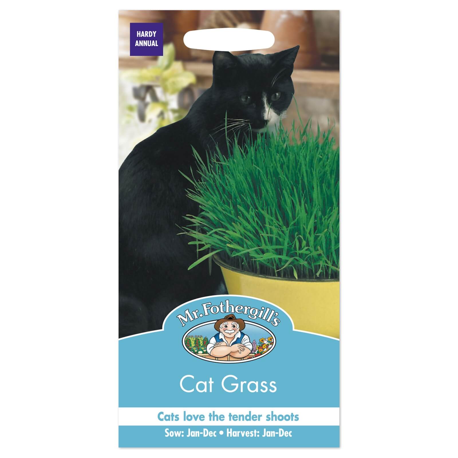 Mr. Fothergill's Cat Grass Avena Sativa Seeds