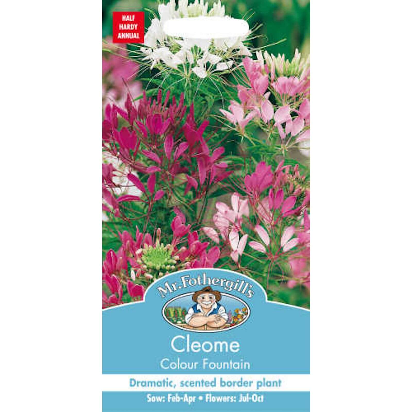 Mr. Fothergill's Cleome Colour Fountain (Cleome Spinosa) Seeds