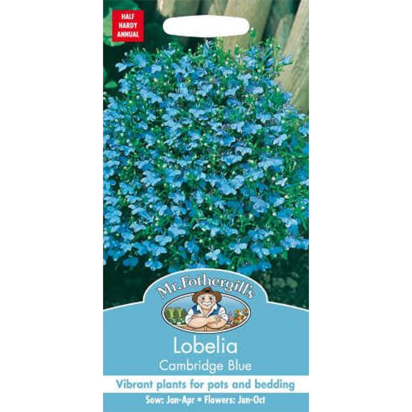 Mr. Fothergill's Lobelia Cambridge Blue Seeds