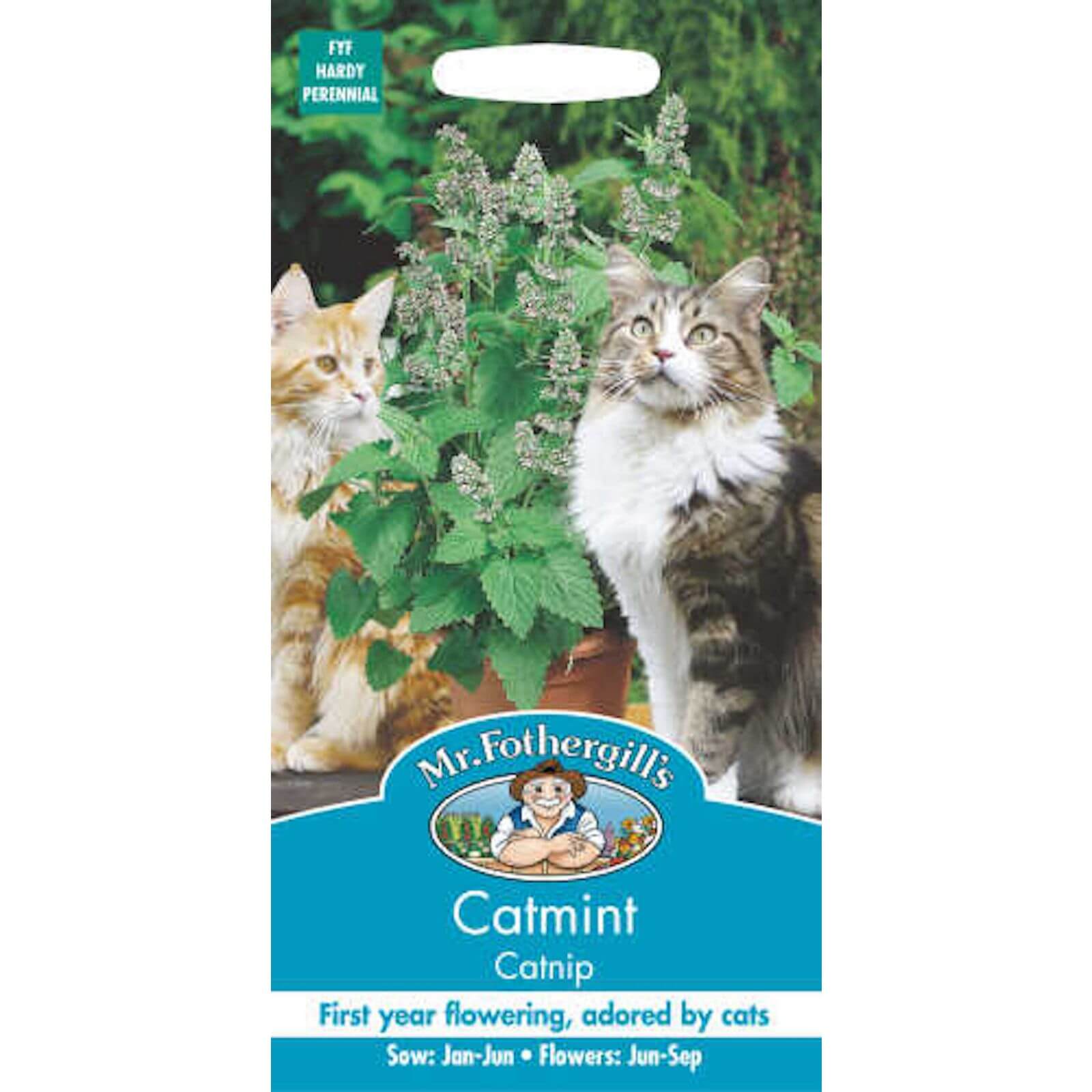 Mr. Fothergill's Catmint (Nepeta Cataria) Seeds