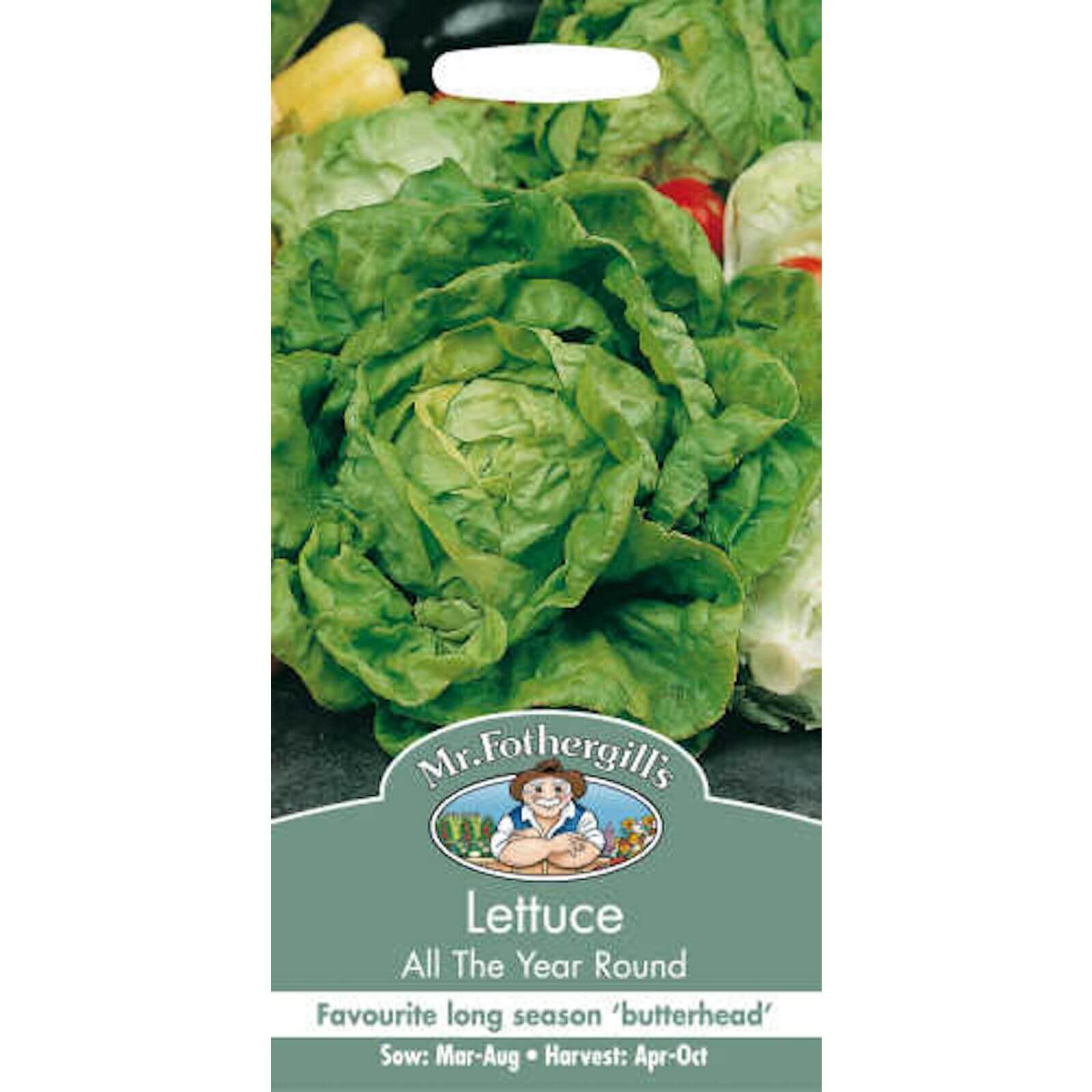 Mr. Fothergill's Lettuce All The Year Round (Lactuca Sativa) Seeds