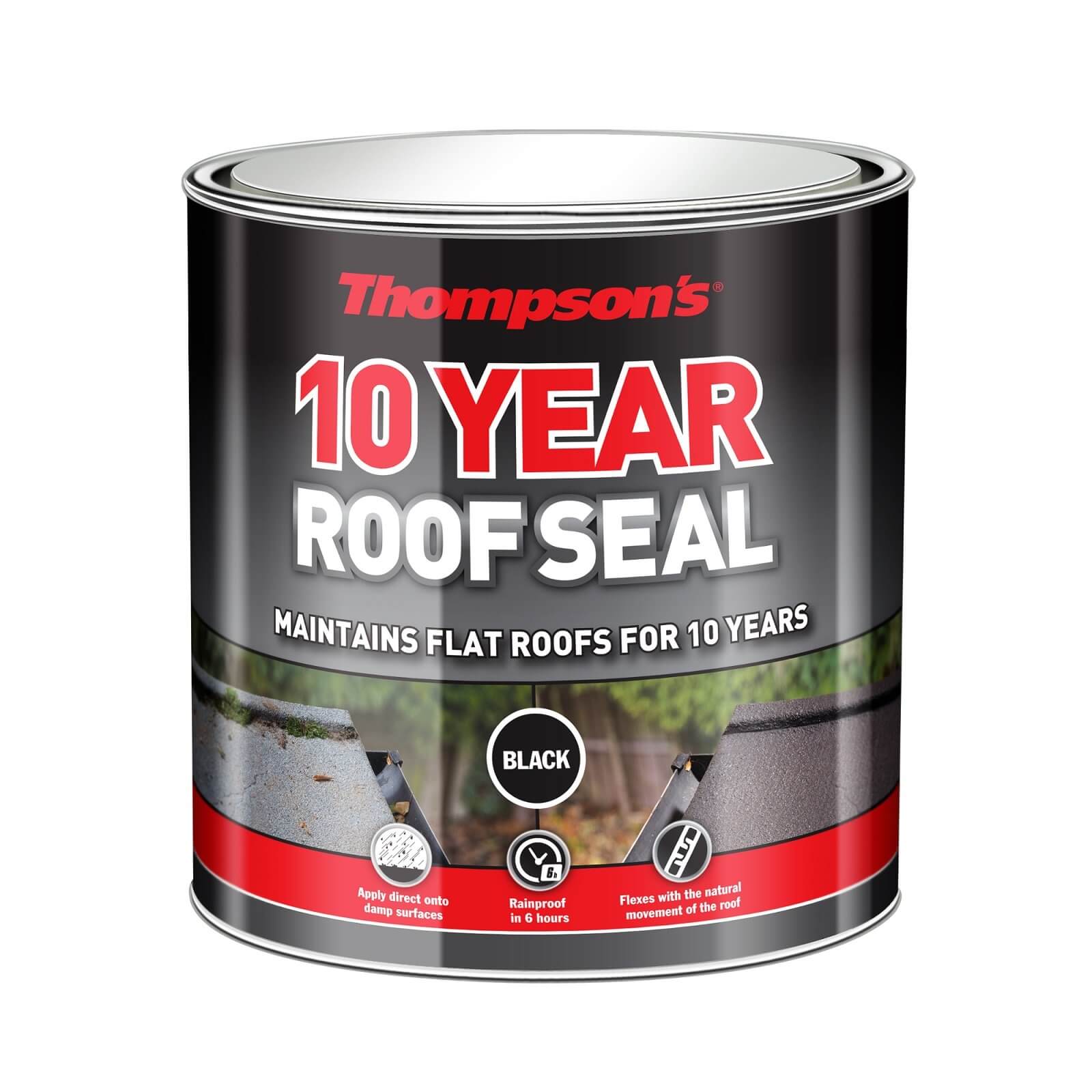 Thompson's 10 Year Roof Seal - Black - 1L