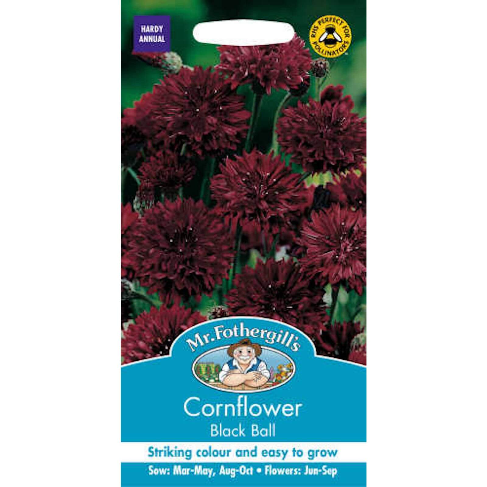 Mr. Fothergill's Cornflower Black Ball (Centaurea Cyanus) Seeds