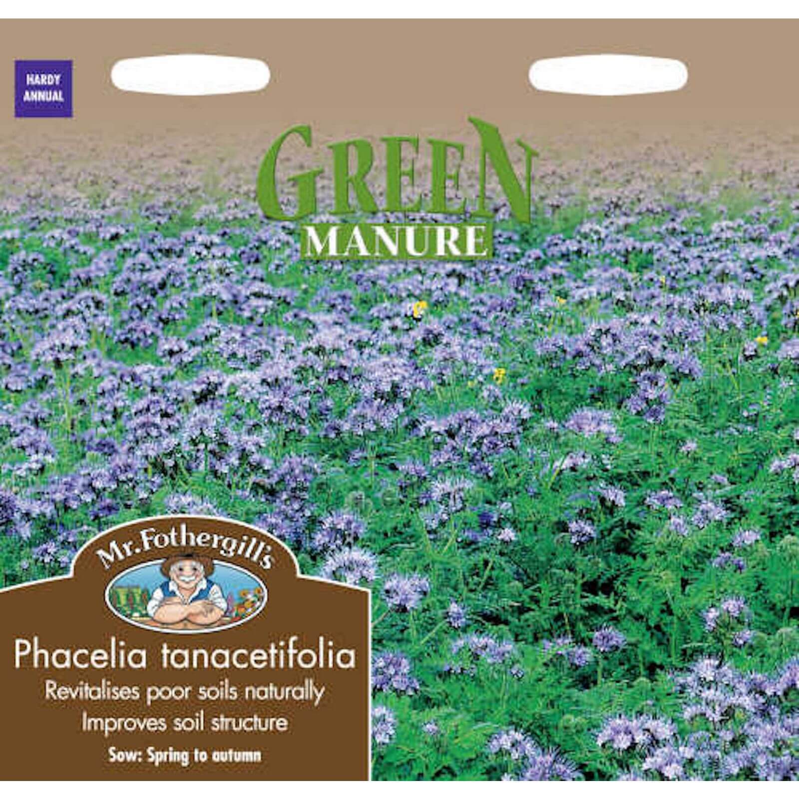 Mr. Fothergill's Phacelia Tanacetifolia Green Manure Seeds
