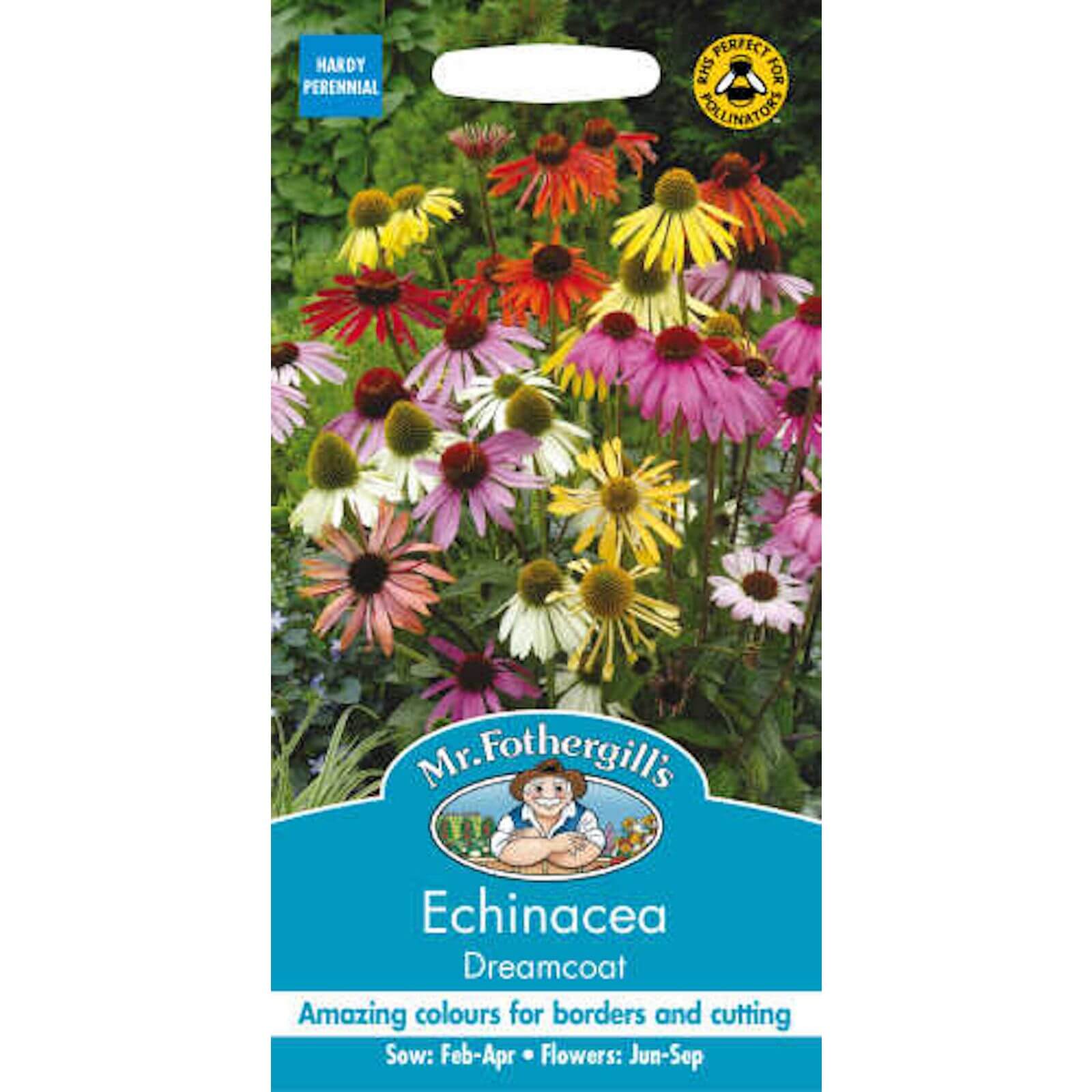 Mr. Fothergill's Echinacea Dreamcoat (Echinacea Purpurea) Seeds