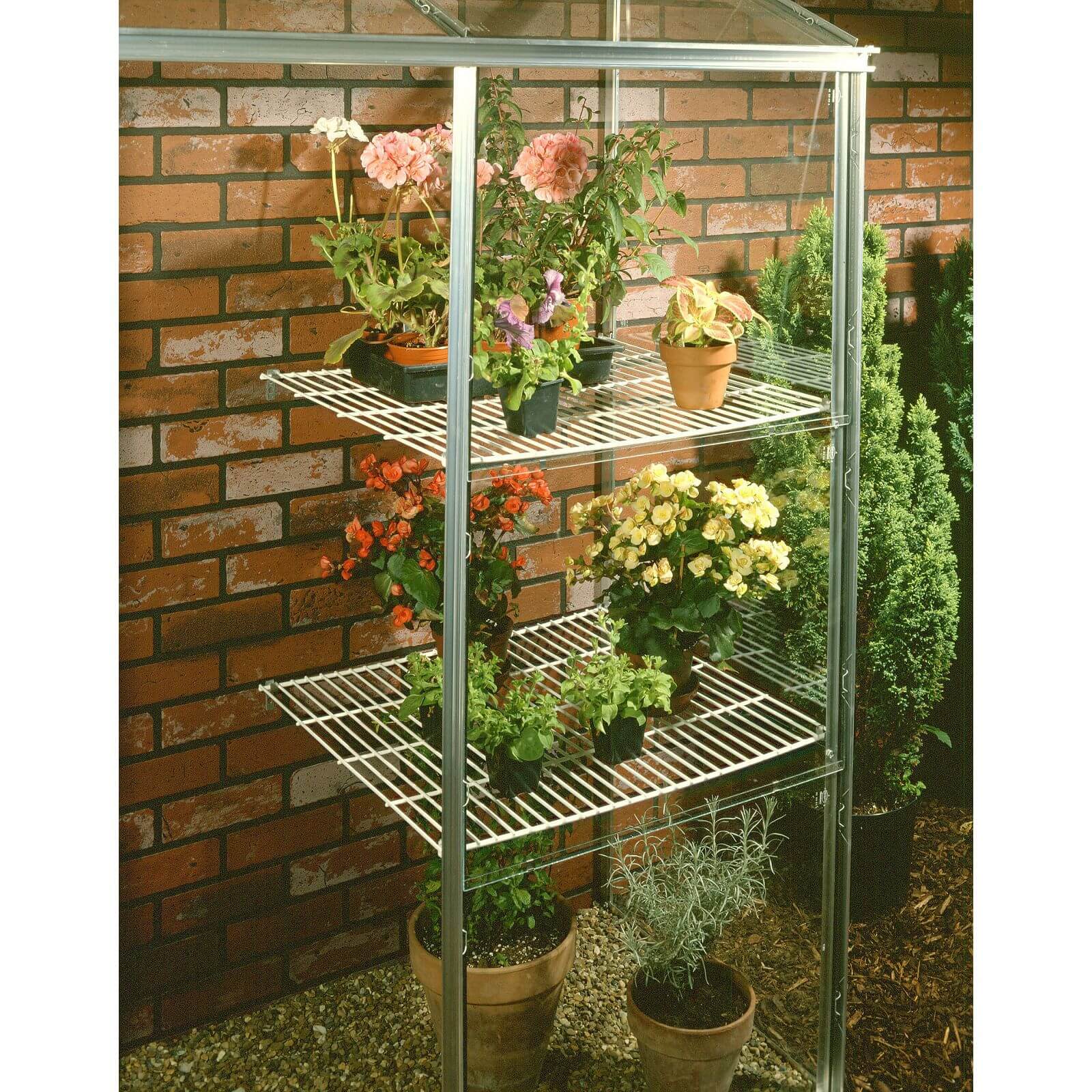 Halls Wall Garden Staging for Greenhouse - 2 Pack