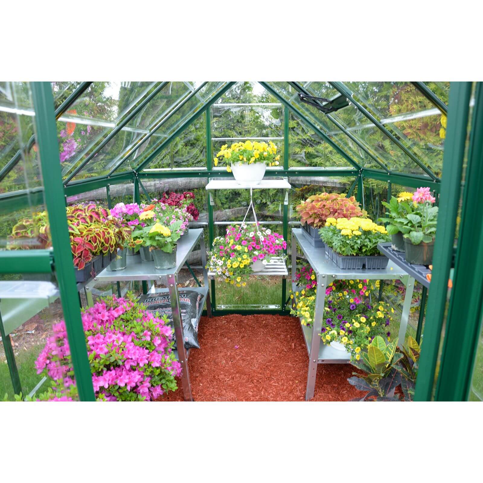 Palram 6 x 8ft Canopia Harmony Greenhouse - Green
