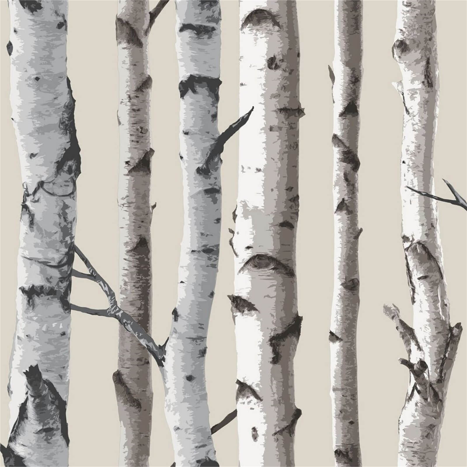 Fine Decor Birch Tree Natural Wallpaper