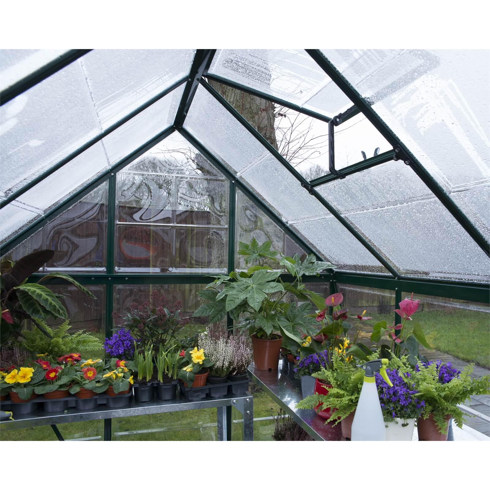 Palram 6 x 10ft  Canopia Harmony Greenhouse  - Green