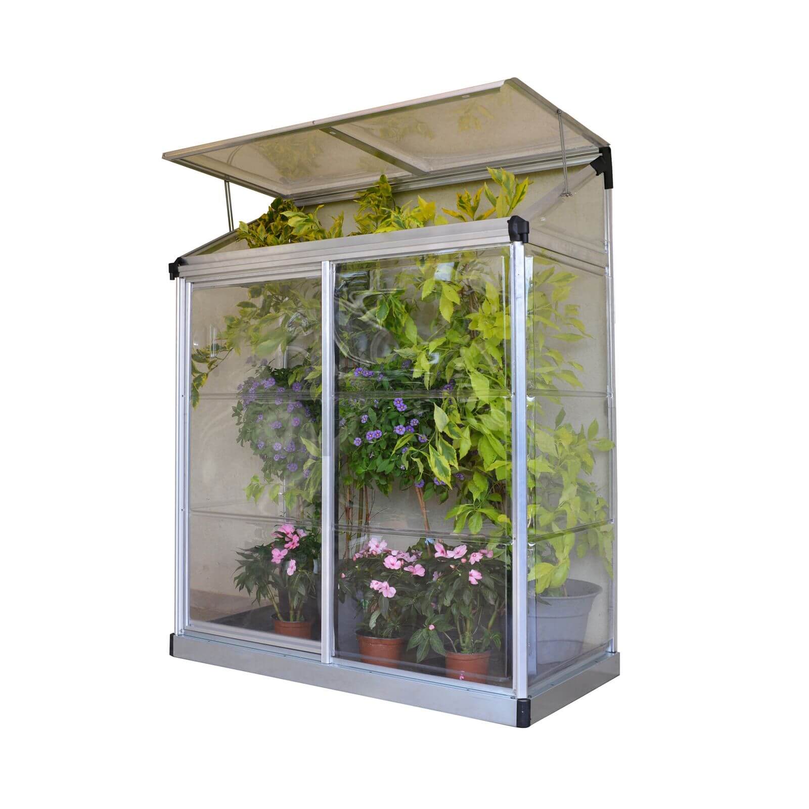 Palram - Canopia Lean To Grow House 4X2 Silver Clear