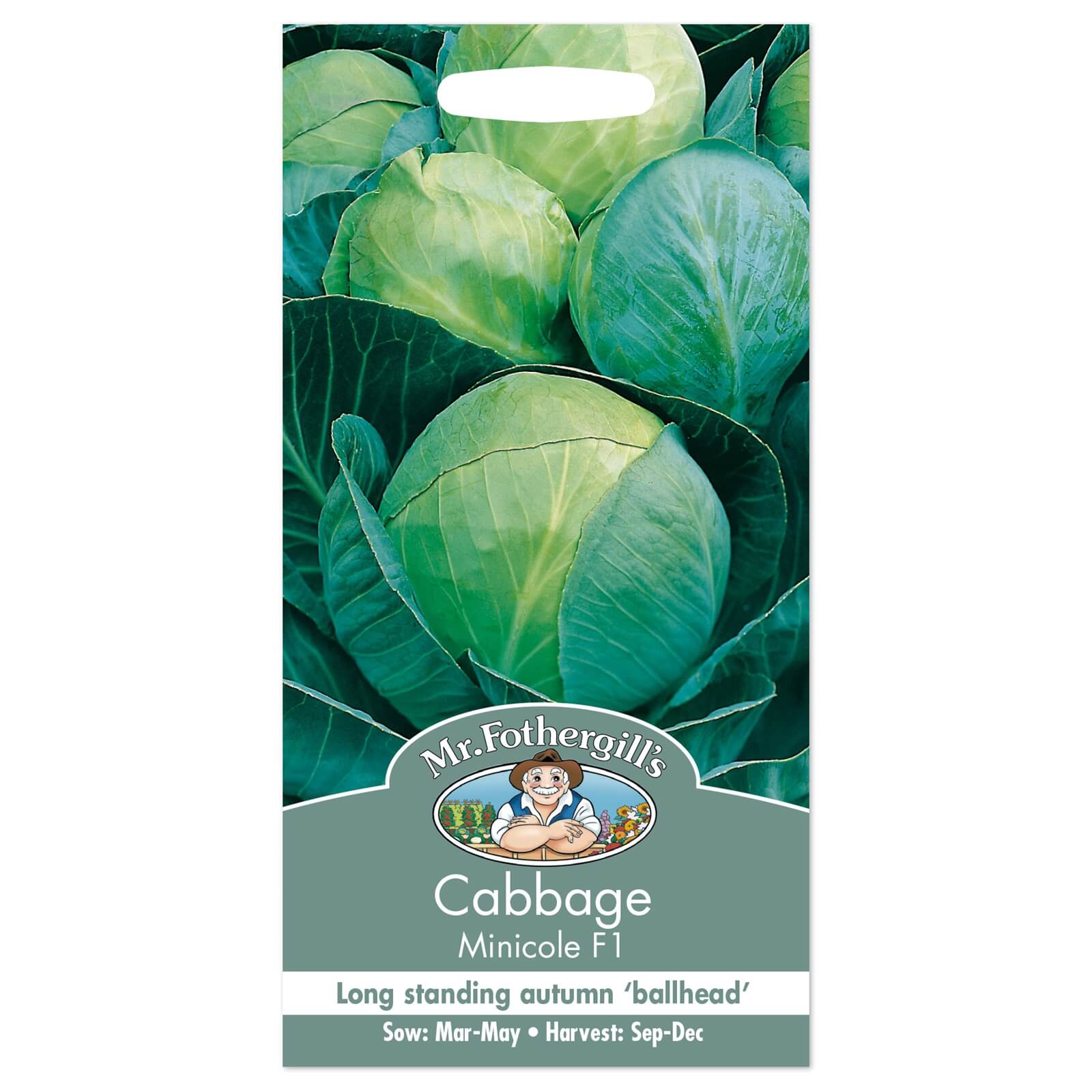 Mr. Fothergill's Cabbage Minicole F1 Seeds