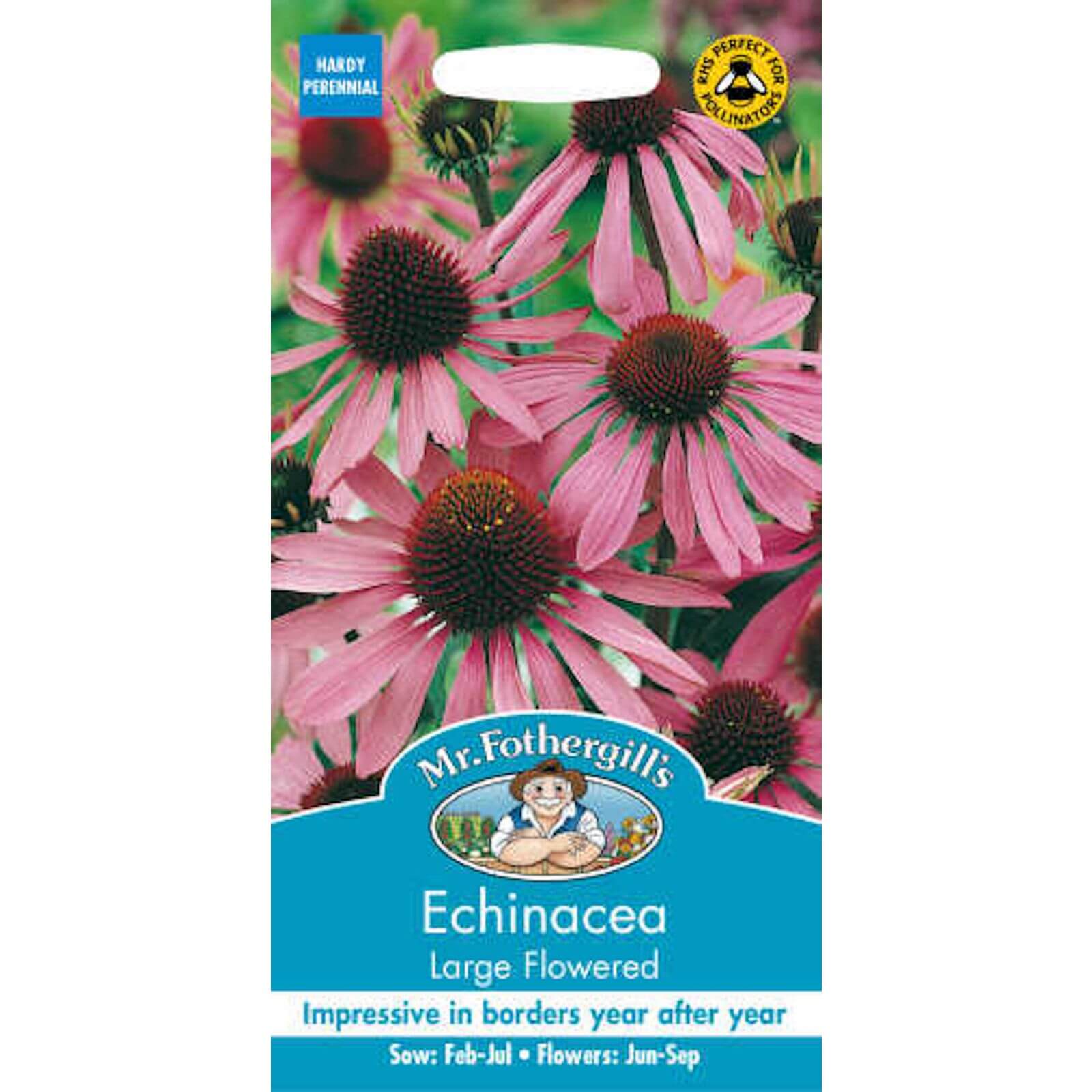 Mr. Fothergill's Echinacea Large Flowered Seed