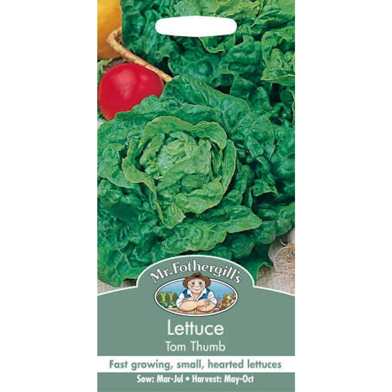 Mr. Fothergill's Lettuce Tom Thumb (Lactuca Sativa) Seeds