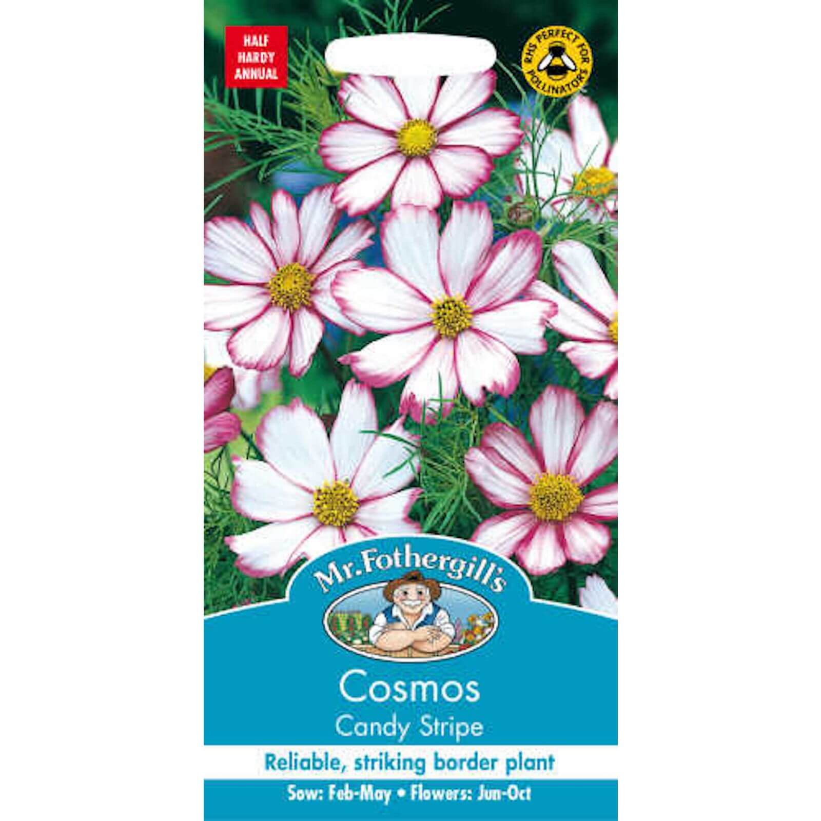 Mr. Fothergill's Cosmos Candy Stripe Seeds