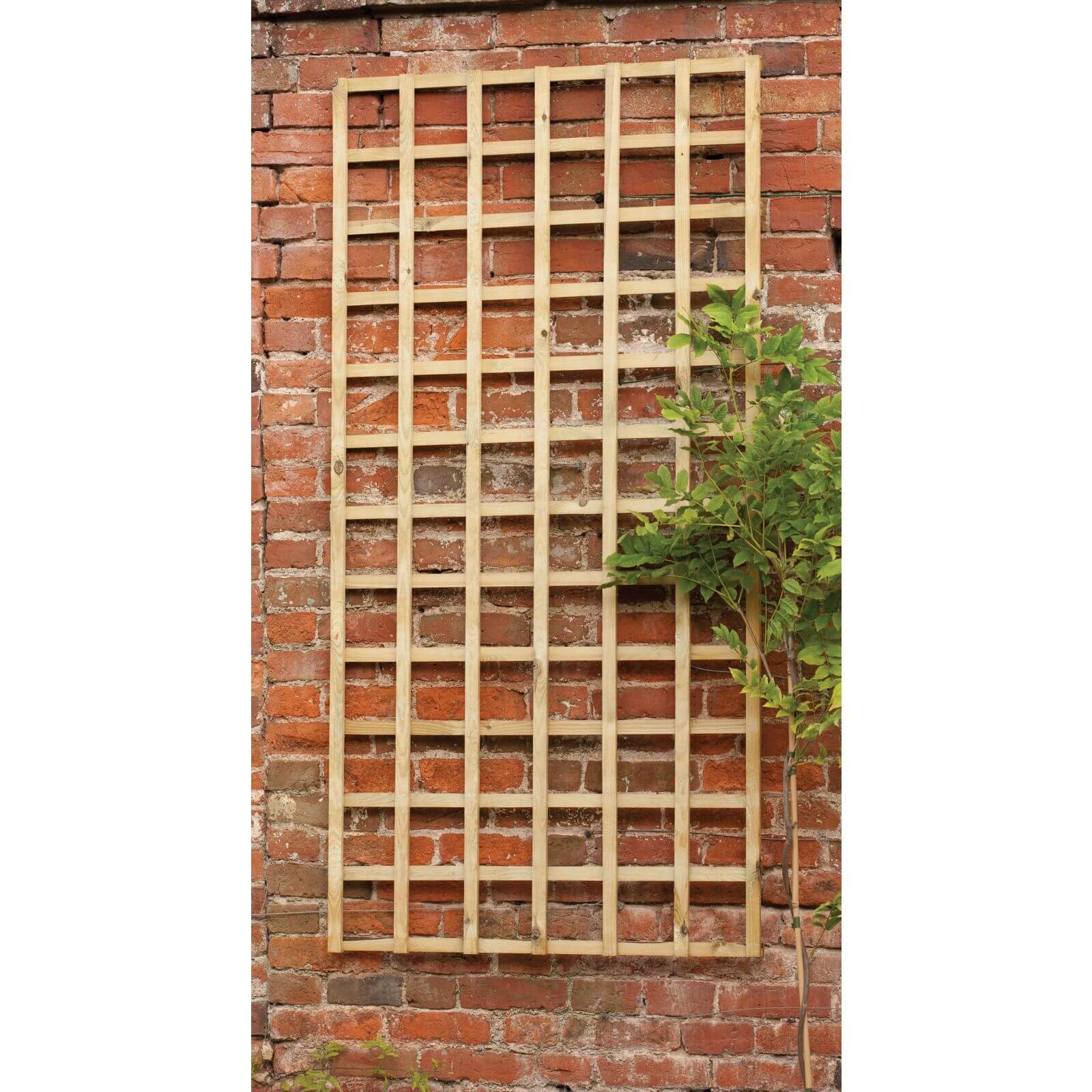 Forest Traditional Trellis - 180 x 90cm