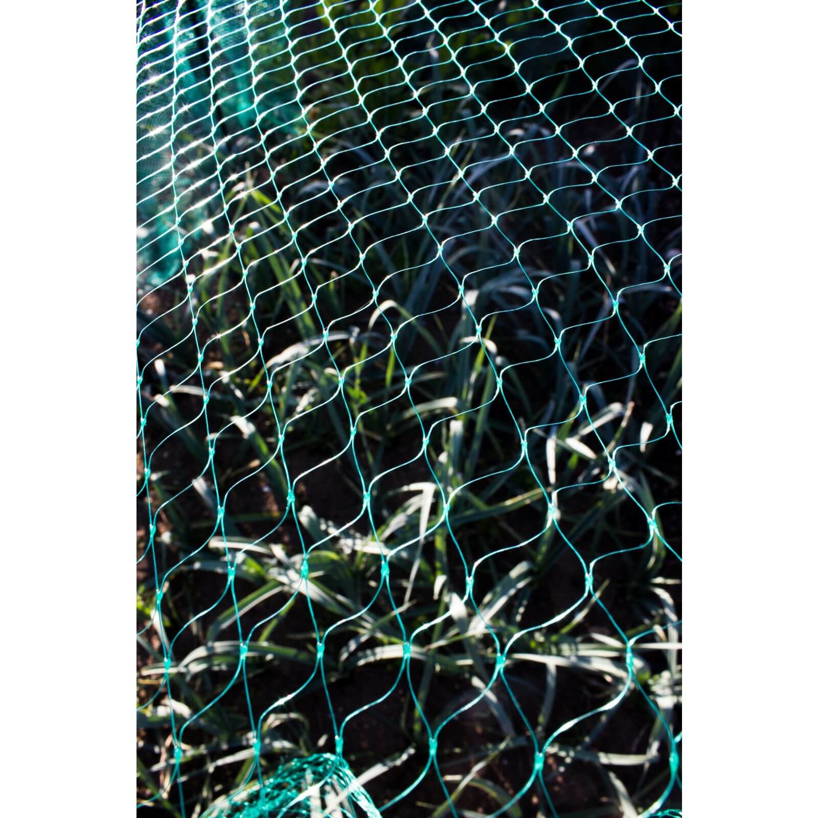 Sprout Garden Net - 6 x 2m