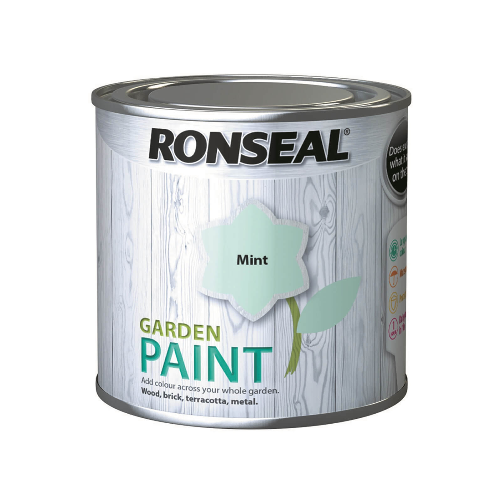 Ronseal Garden Paint 250ml - Mint