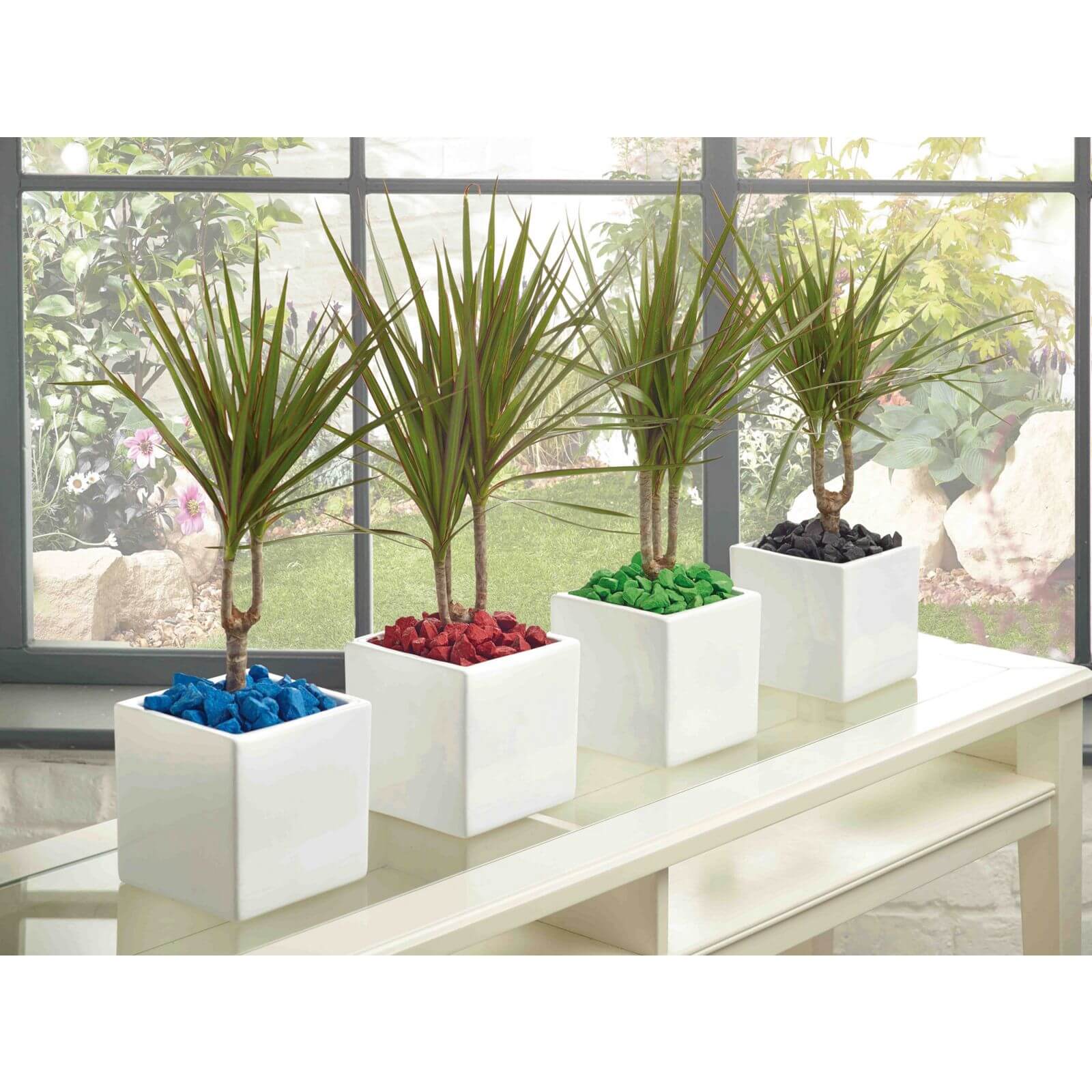 Fresh Lime Pot Toppers - Handy Pack