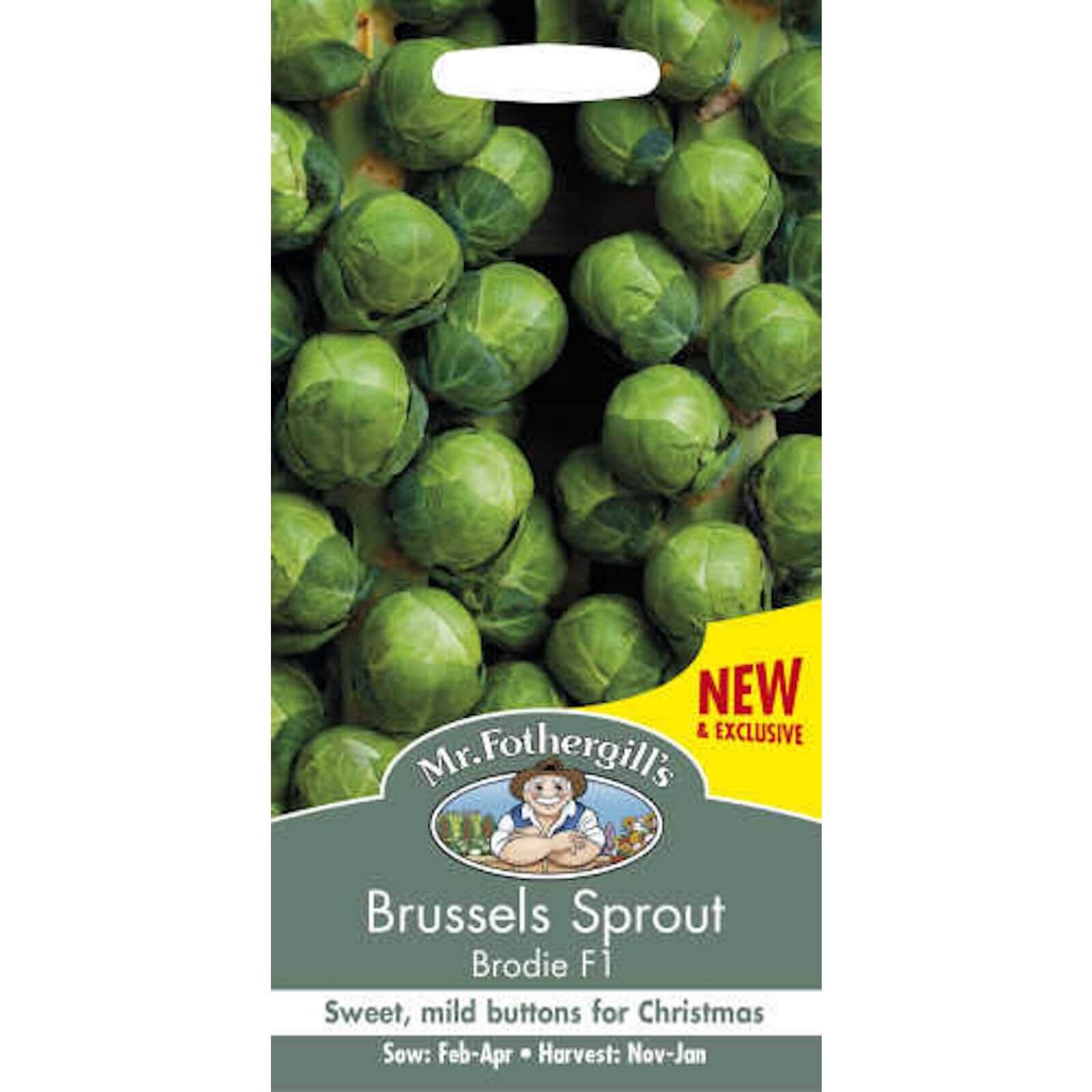 Mr. Fothergill's Brussels Sprout Brodie F1 Seeds