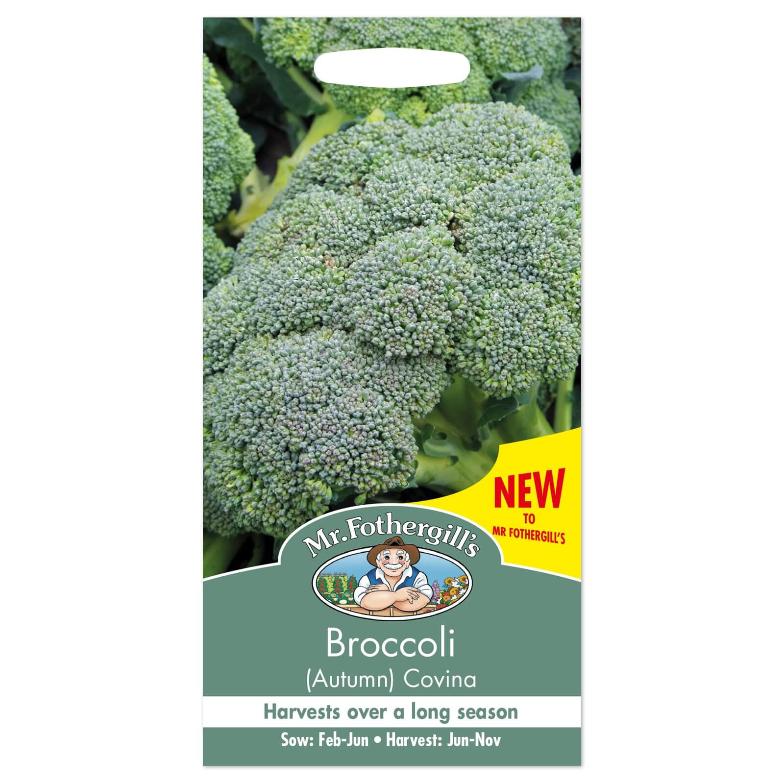 Mr. Fothergill's Broccoli Covina Autumn Seeds