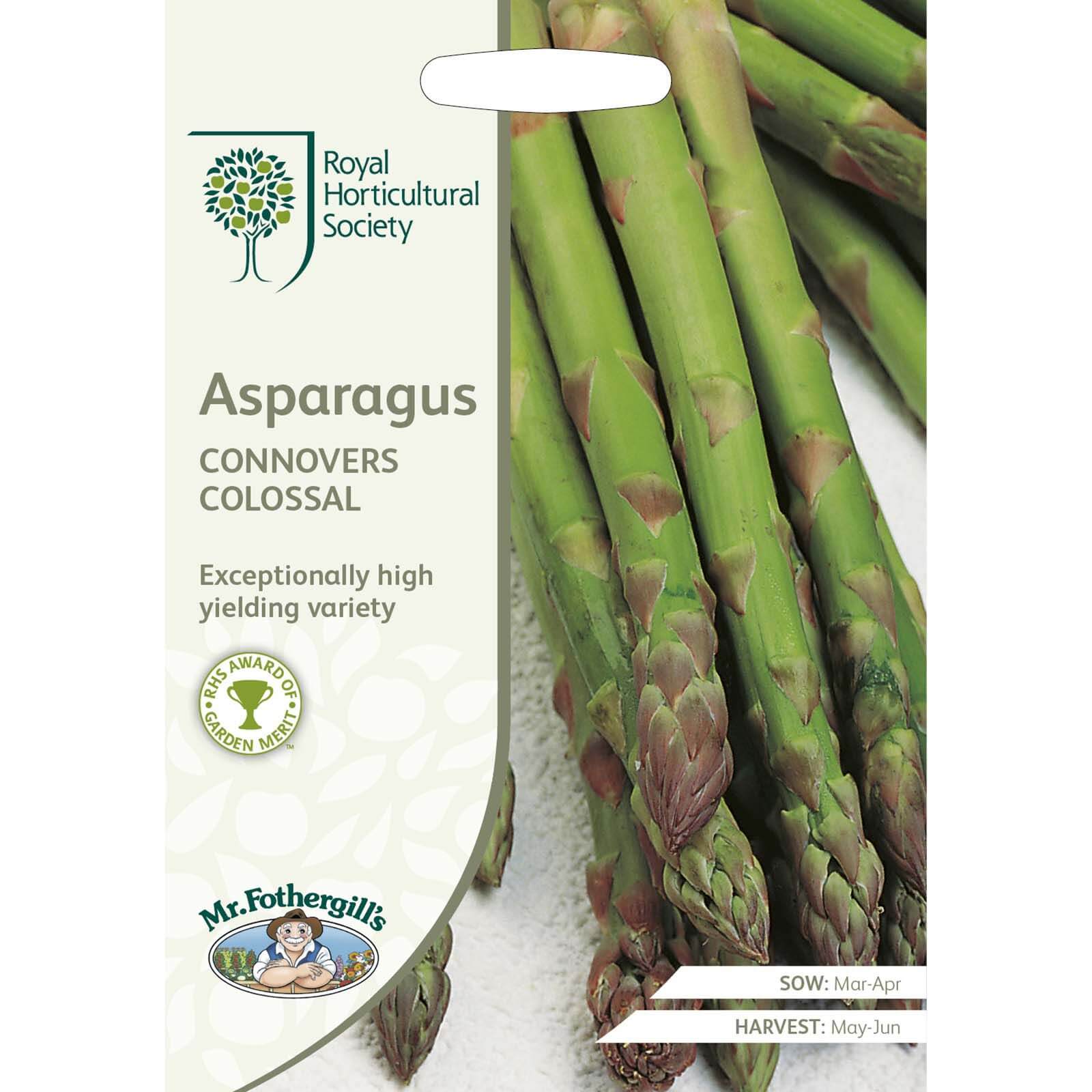 RHS Asparagus Connover's Colossal Seeds