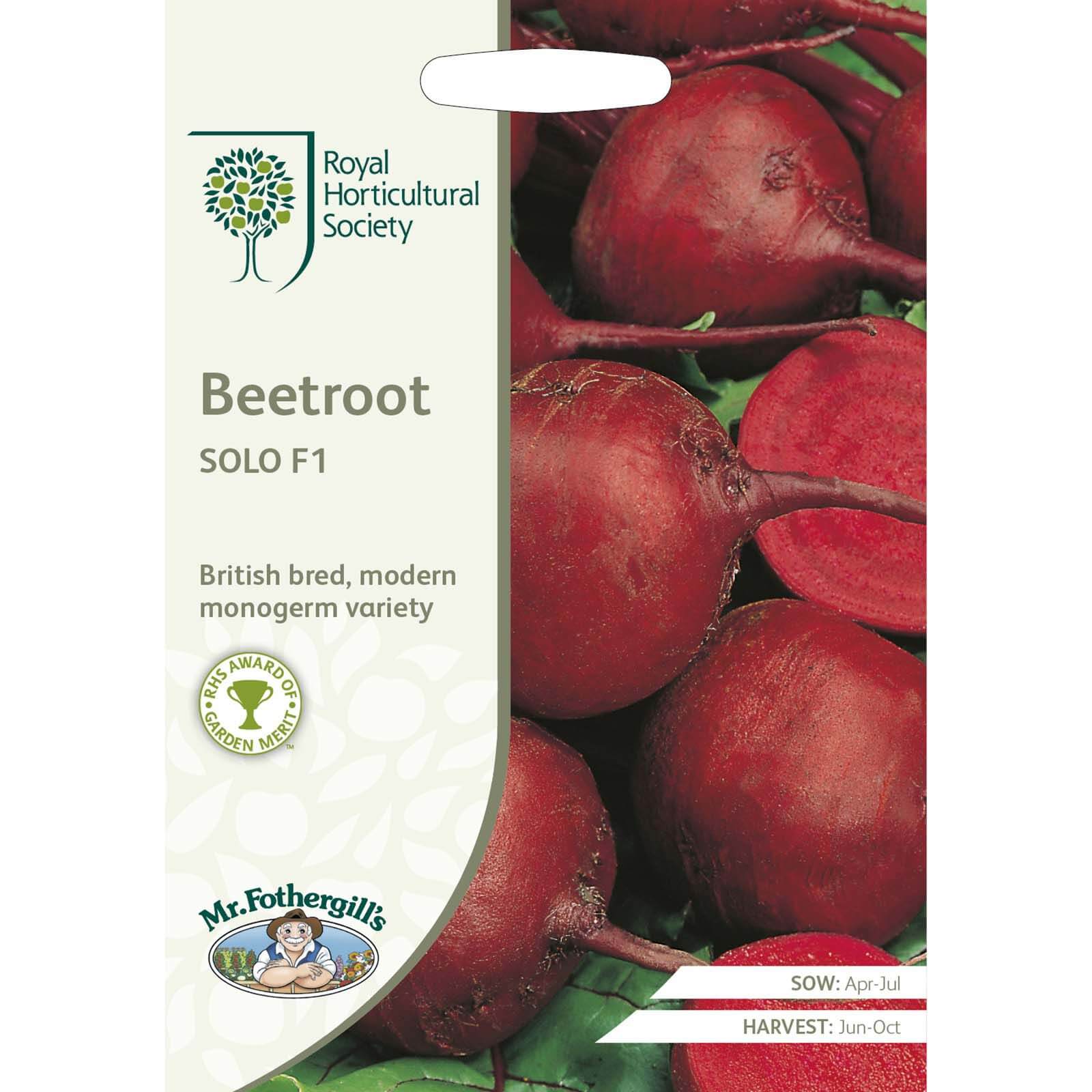 RHS Beetroot Solo F1 Seeds