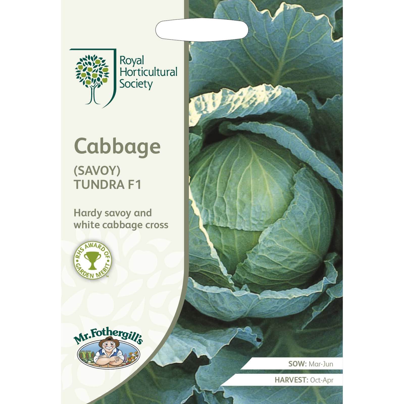 RHS Cabbage (Savoy) Tundra F1 Seeds