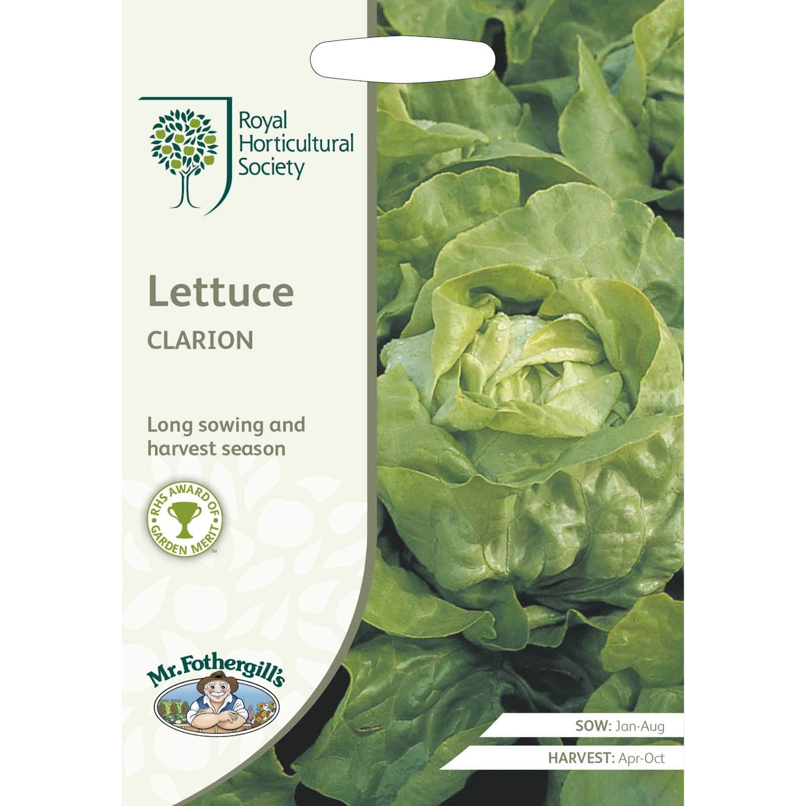 RHS Lettuce Clarion (Butterhead) Seeds