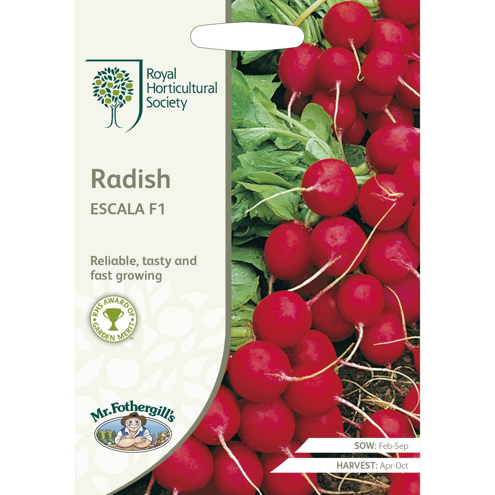 RHS Radish Escala F1 Seeds