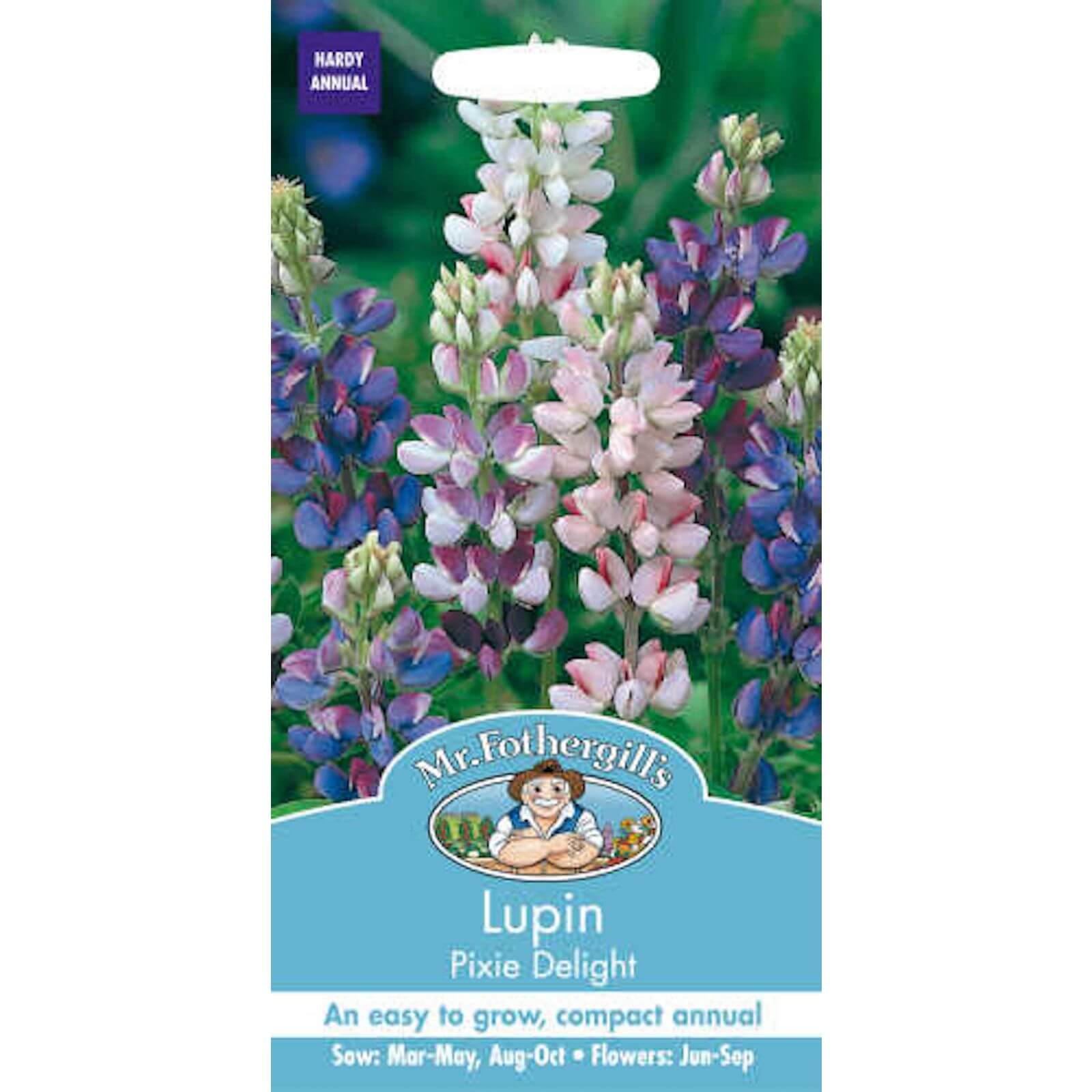Mr. Fothergill's Lupin Pixie Delight (Lupinus Nanus) Seeds