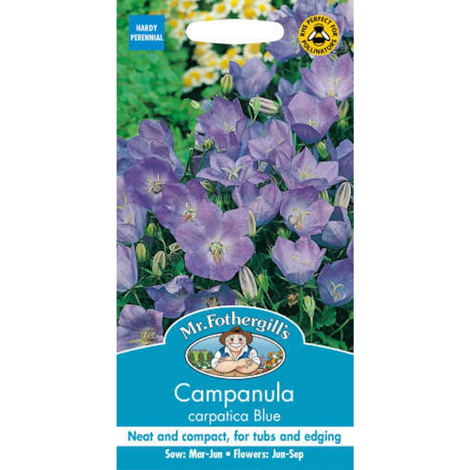 Mr. Fothergill's Campanula Carpatica Blue Seeds