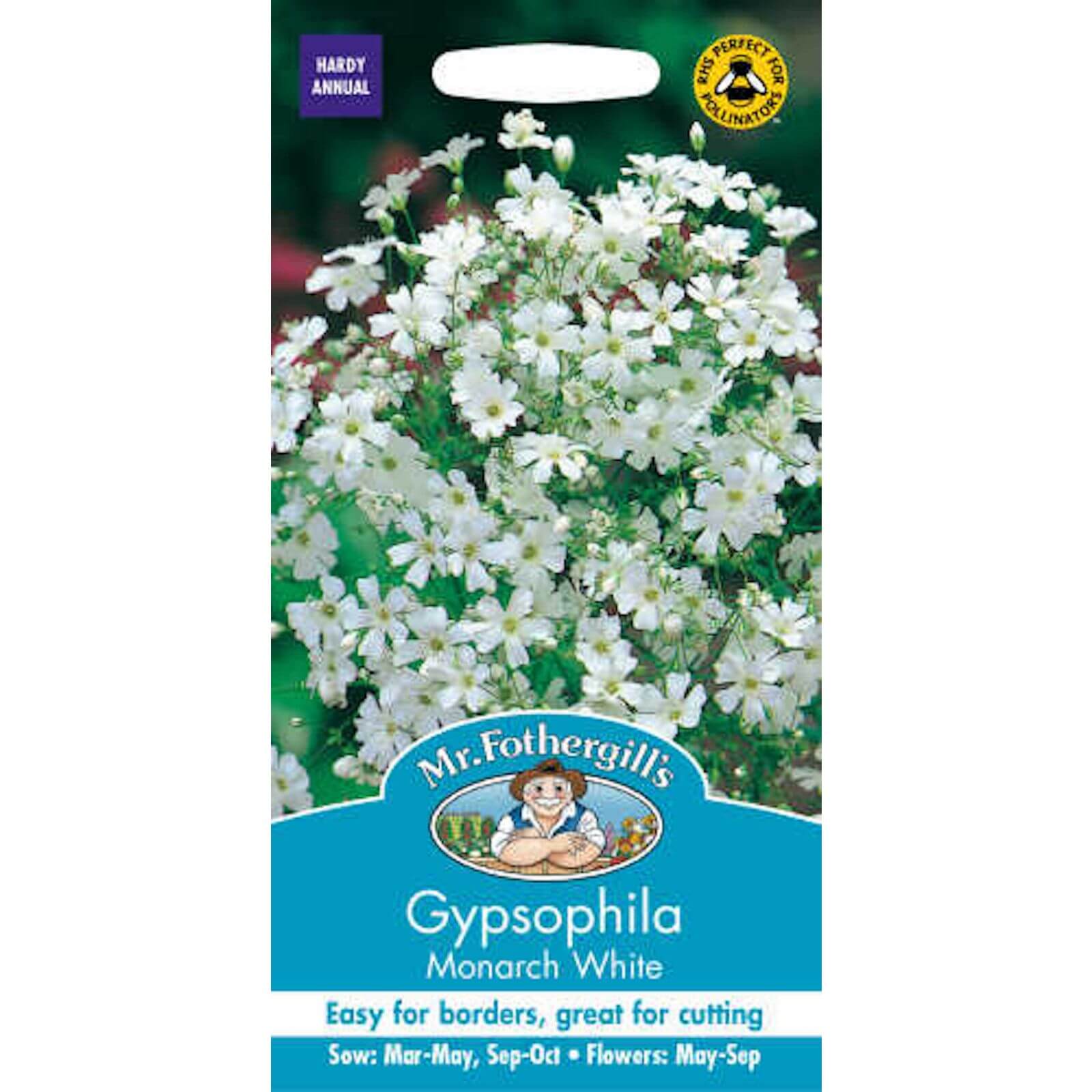 Mr. Fothergill's Gypsophilia Monarch White Seeds