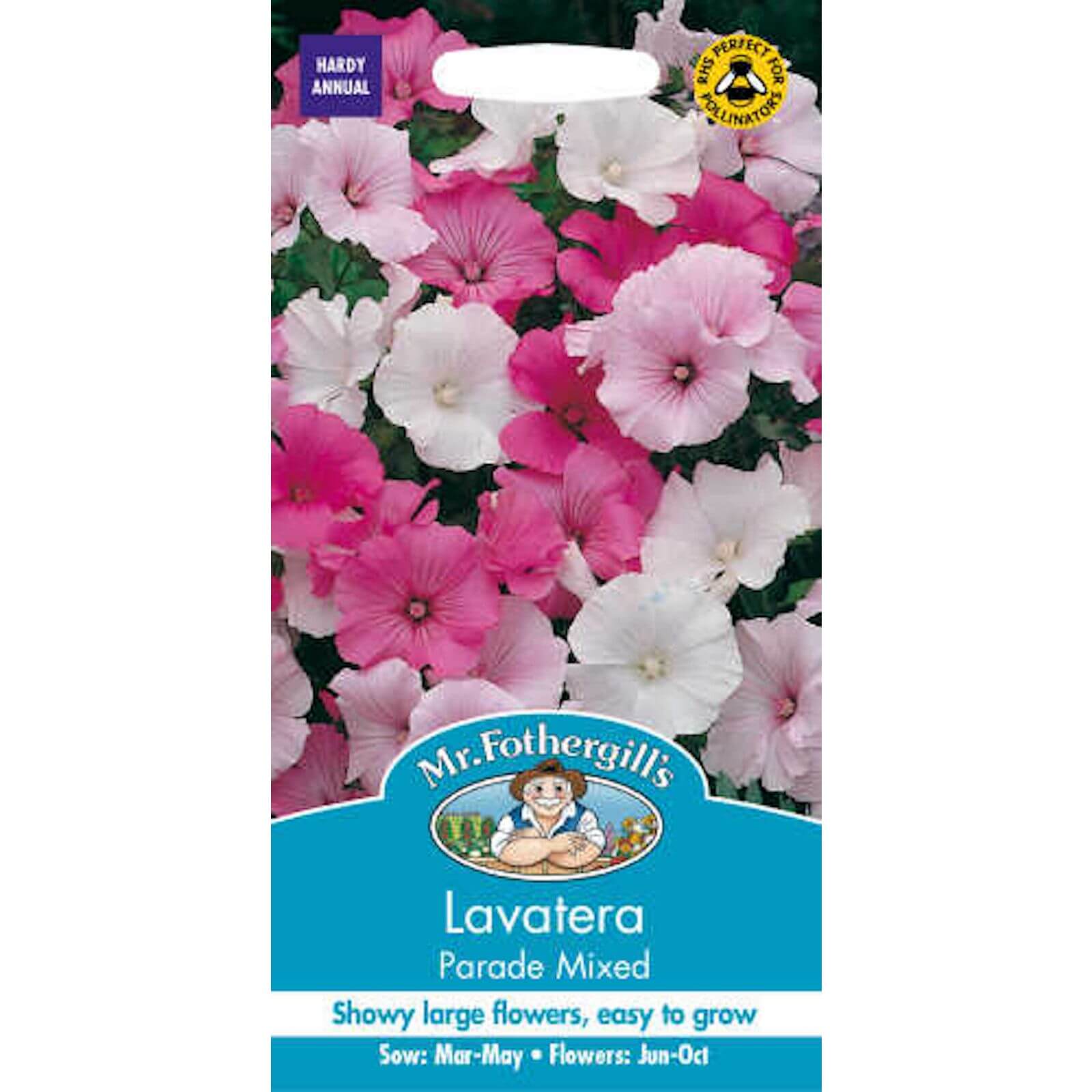 Mr. Fothergill's Lavatera Parade Mixed Seeds