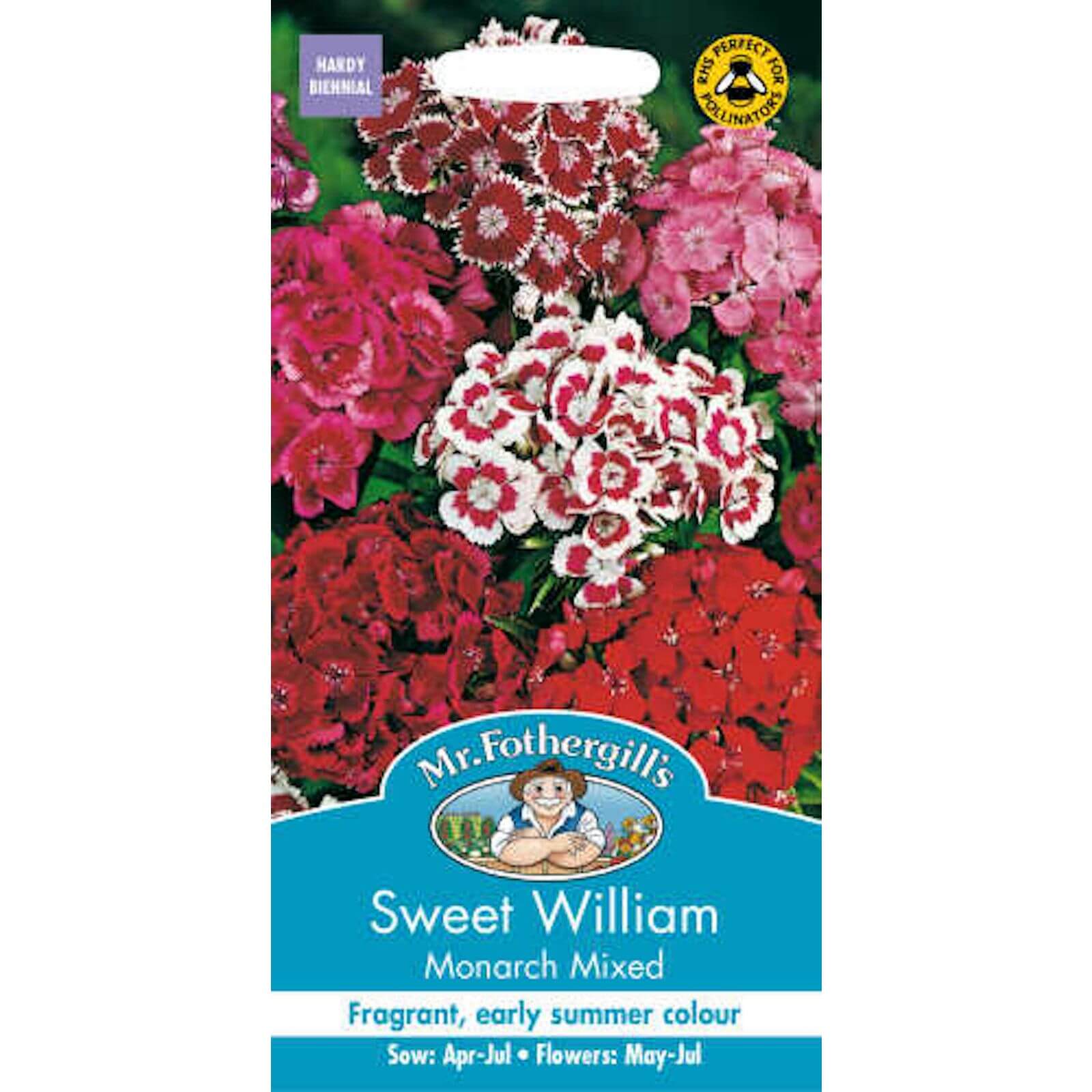 Mr. Fothergill's Sweet William Monarch Mixed Seeds