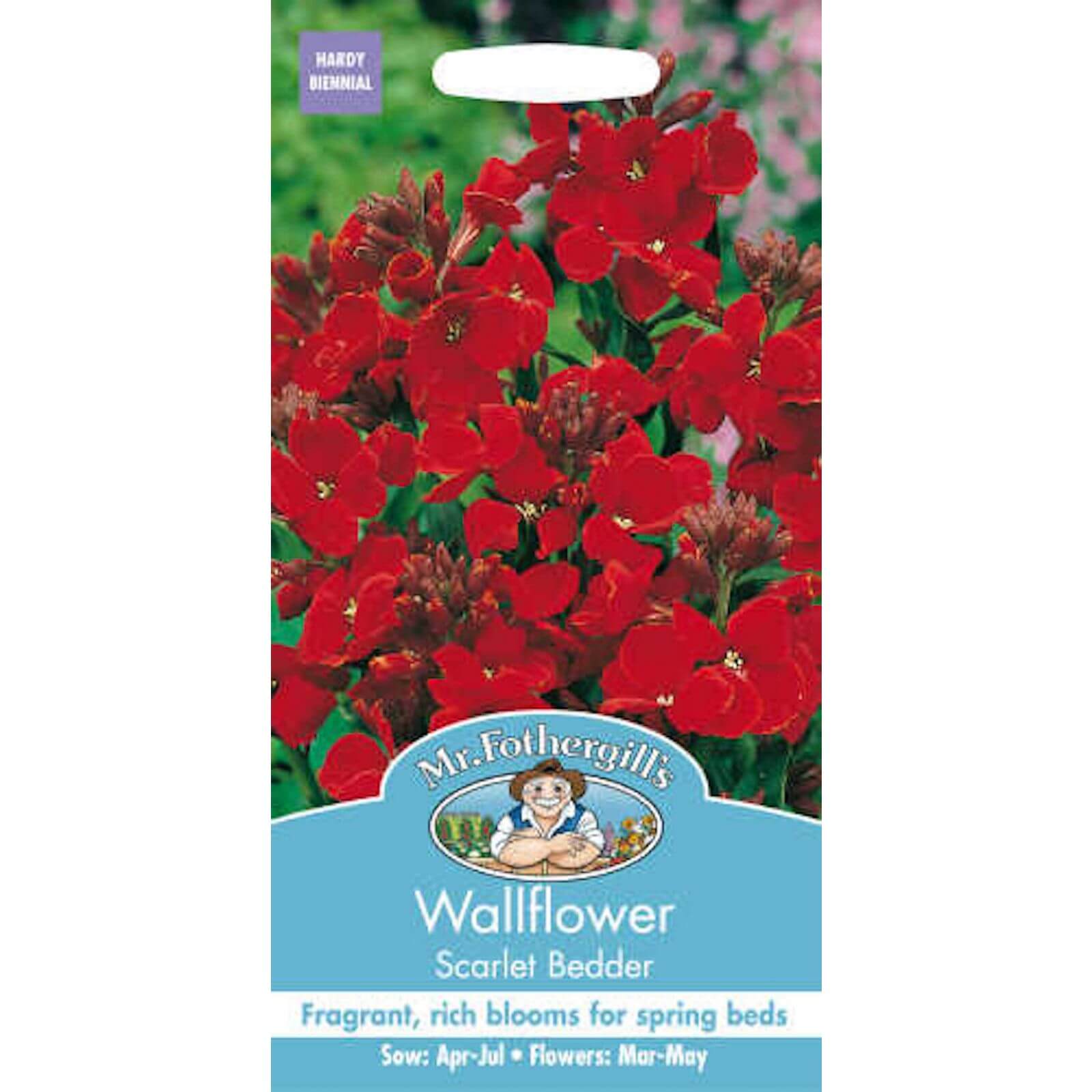 Mr. Fothergill's Wallflower Scarlet Bedder Seeds