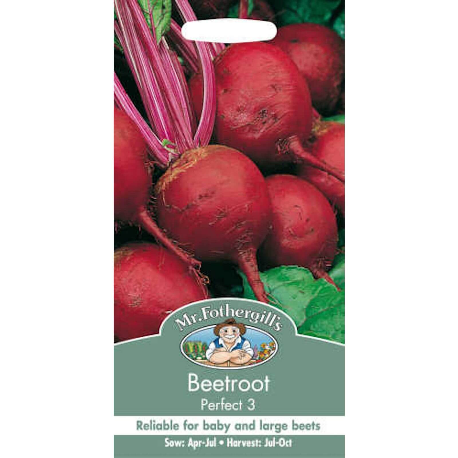 Mr. Fothergill's Beetroot Perfect 3 Seeds