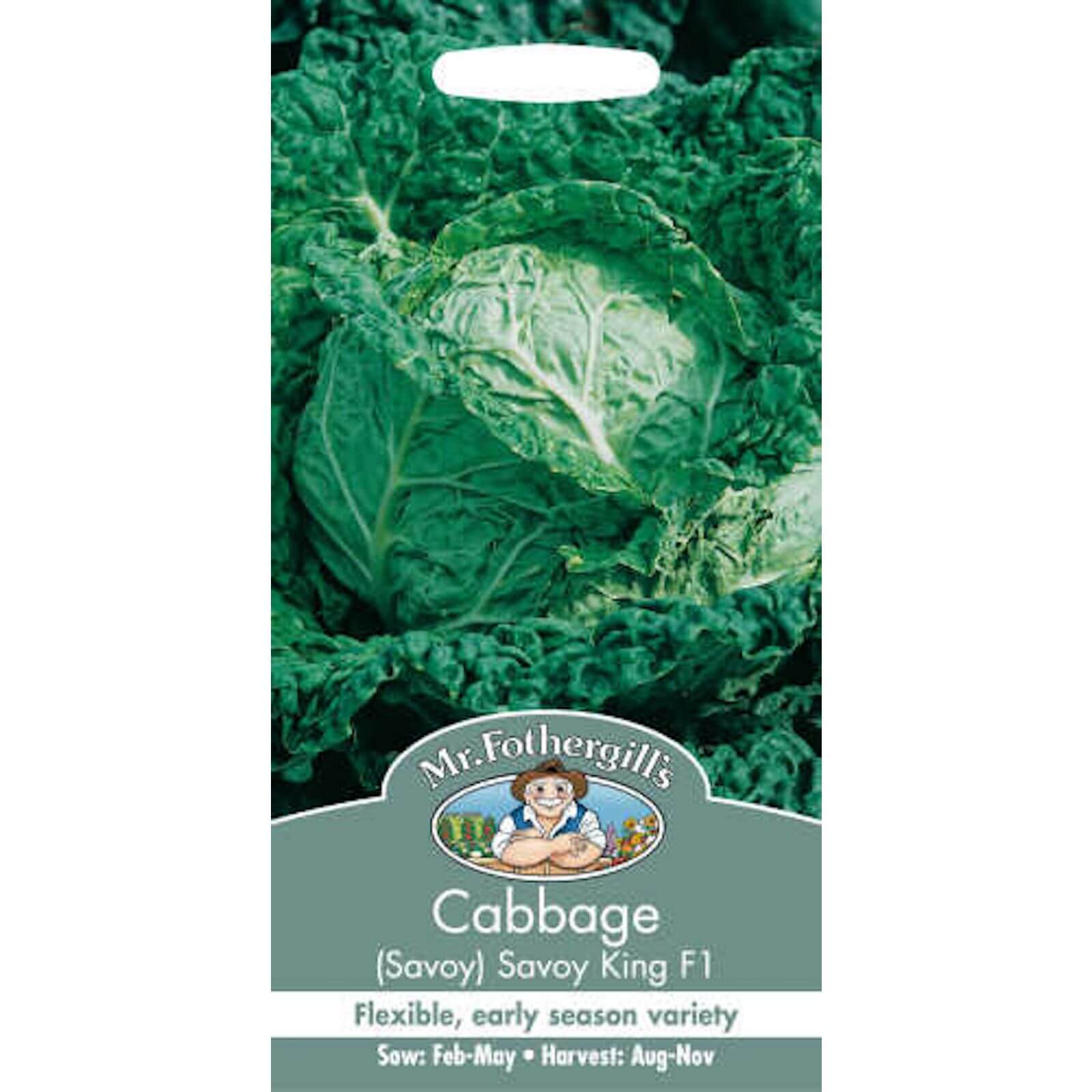 Mr. Fothergill's Cabbage Savoy  King F1 Seeds