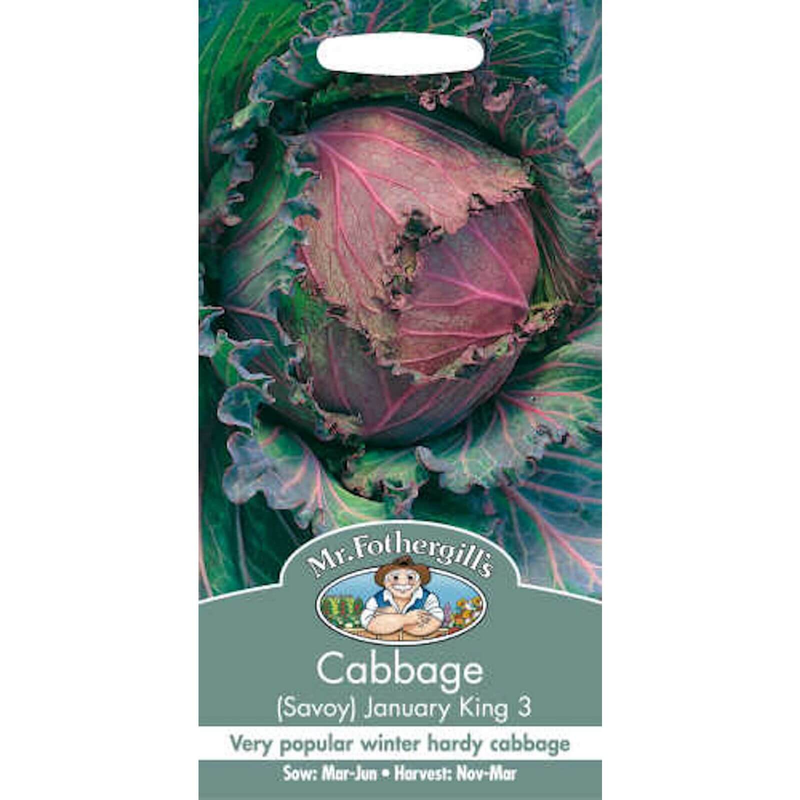 Mr. Fothergill's Cabbage Savoy January King 3 Seeds