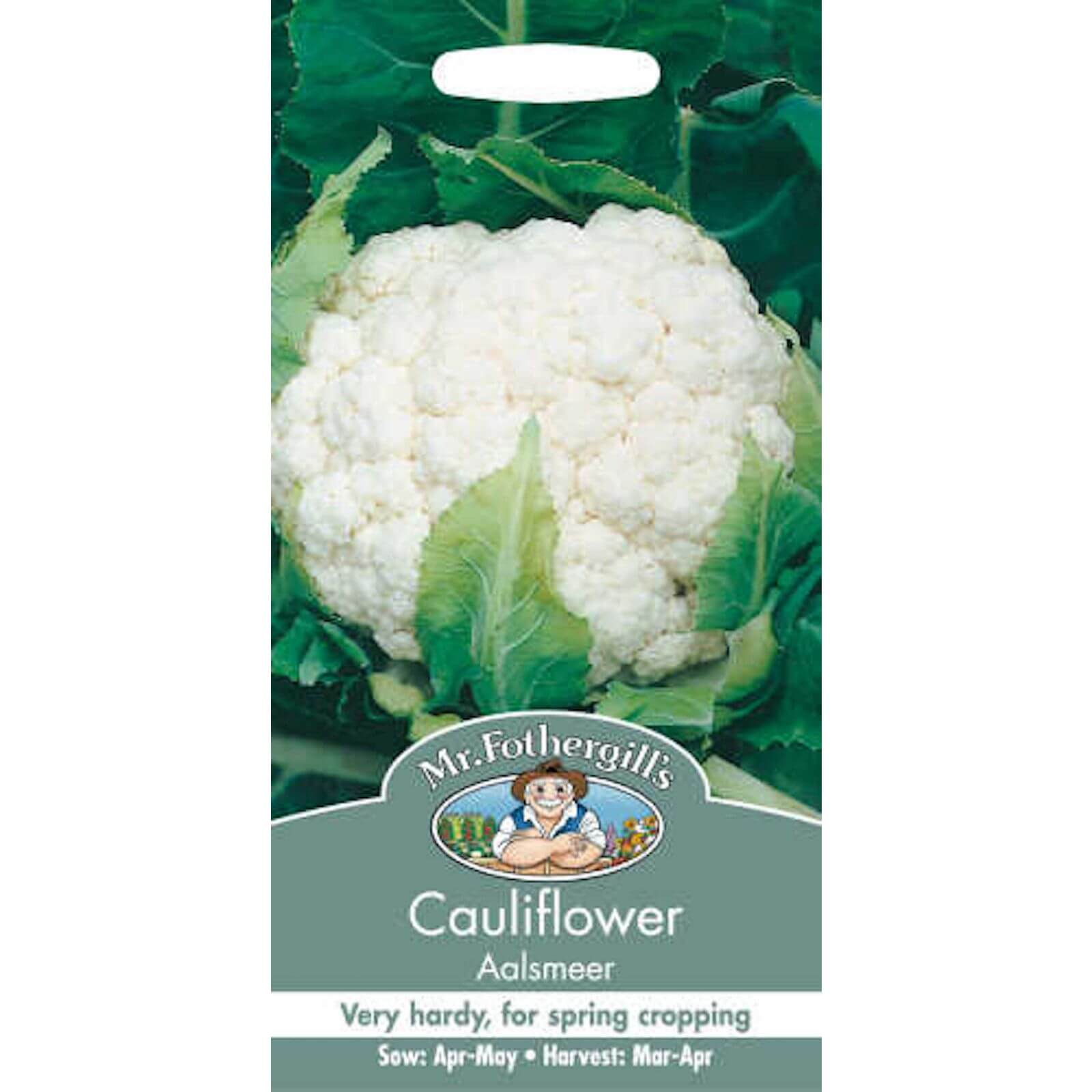 Mr. Fothergill's Cauliflower Aalsmeer Seeds