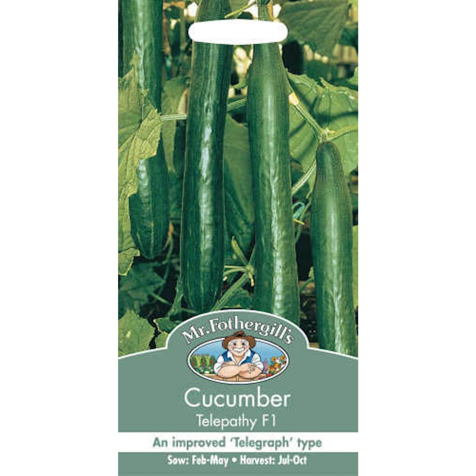 Mr. Fothergill's Cucumber Telepathy F1 Vegetable Seeds