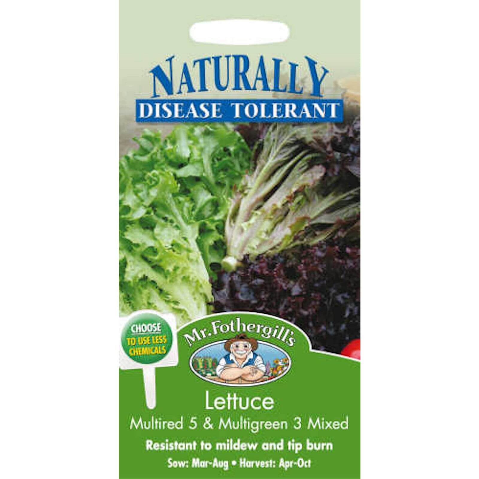Mr. Fothergill's Lettuce Multired & Multigreen Mixed Vegetable Seeds